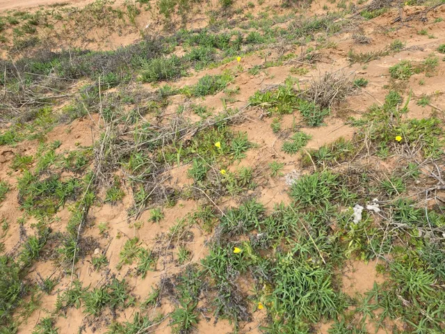 a view of an ocean and beach