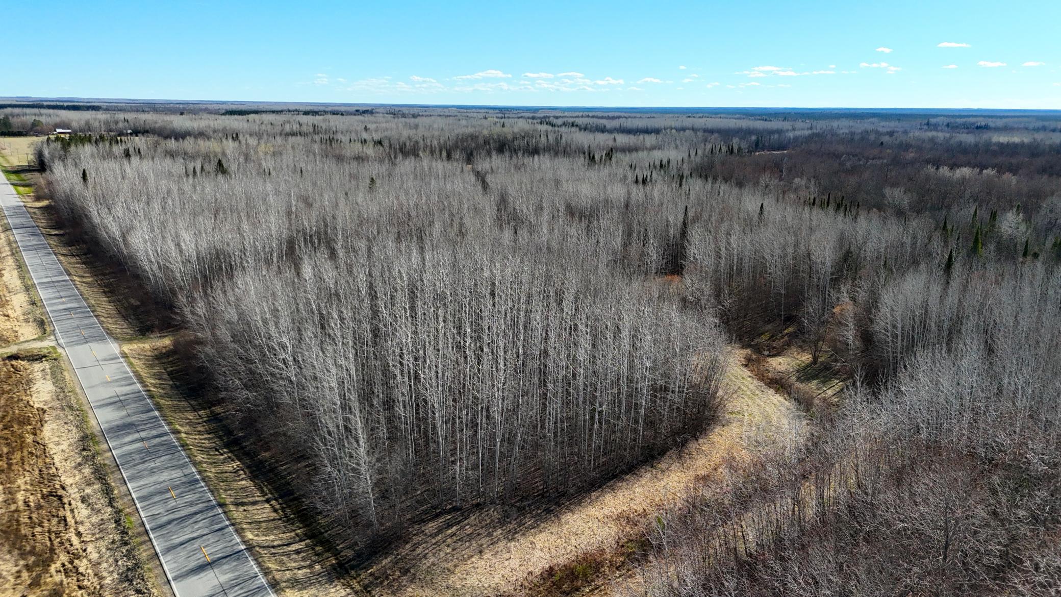 Lot F County Road 79 Littlefork, MN 56653 - Photo 8 of 44