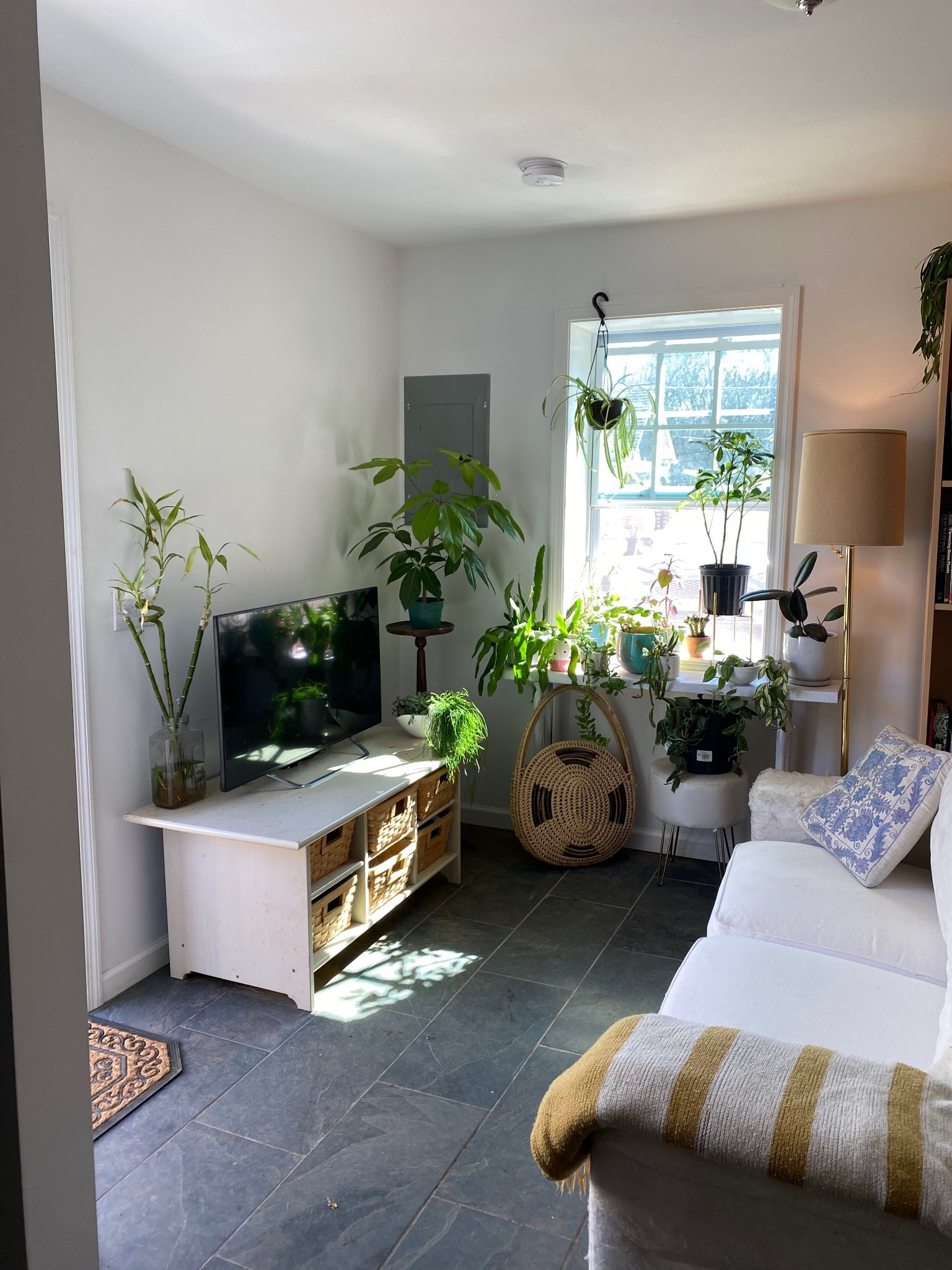 209 A Neelys Bend Road Madison, TN 37115 - Photo 4 of 10