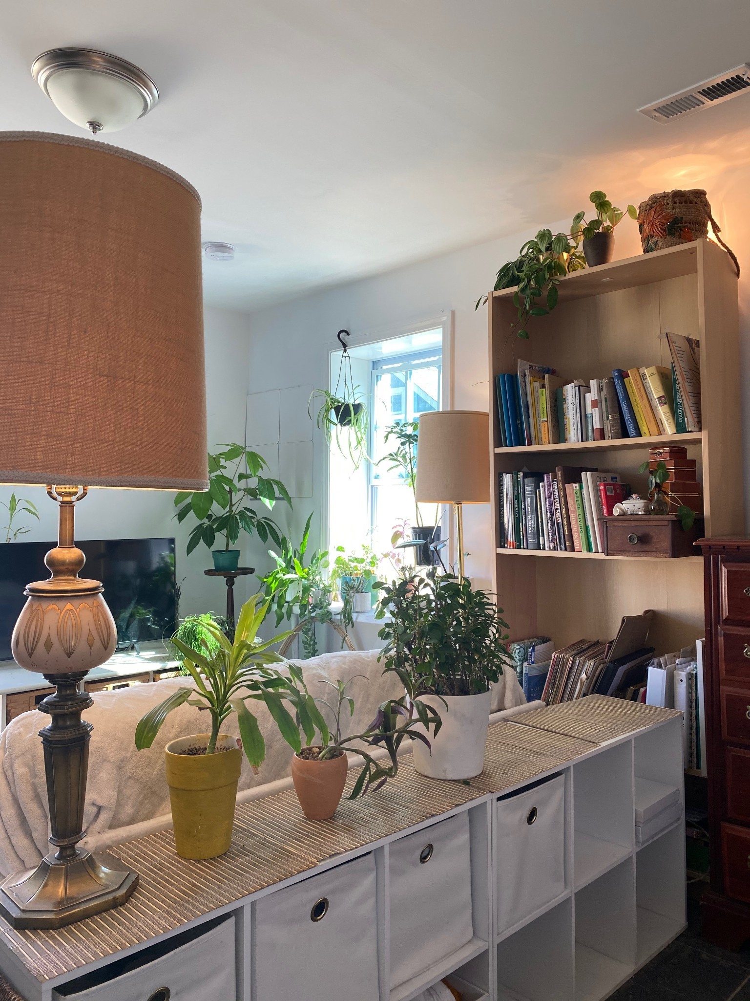 209 A Neelys Bend Road Madison, TN 37115 - Photo 5 of 10