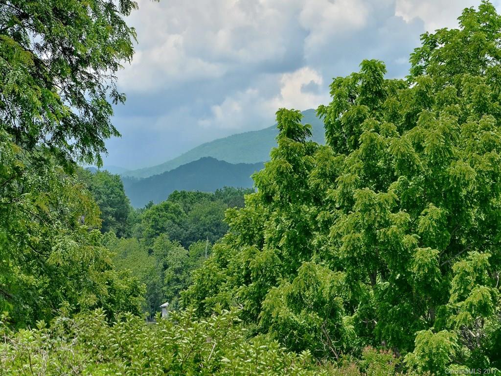 656 Thompson Cove Road Clyde, NC 28721 - Photo 11 of 12