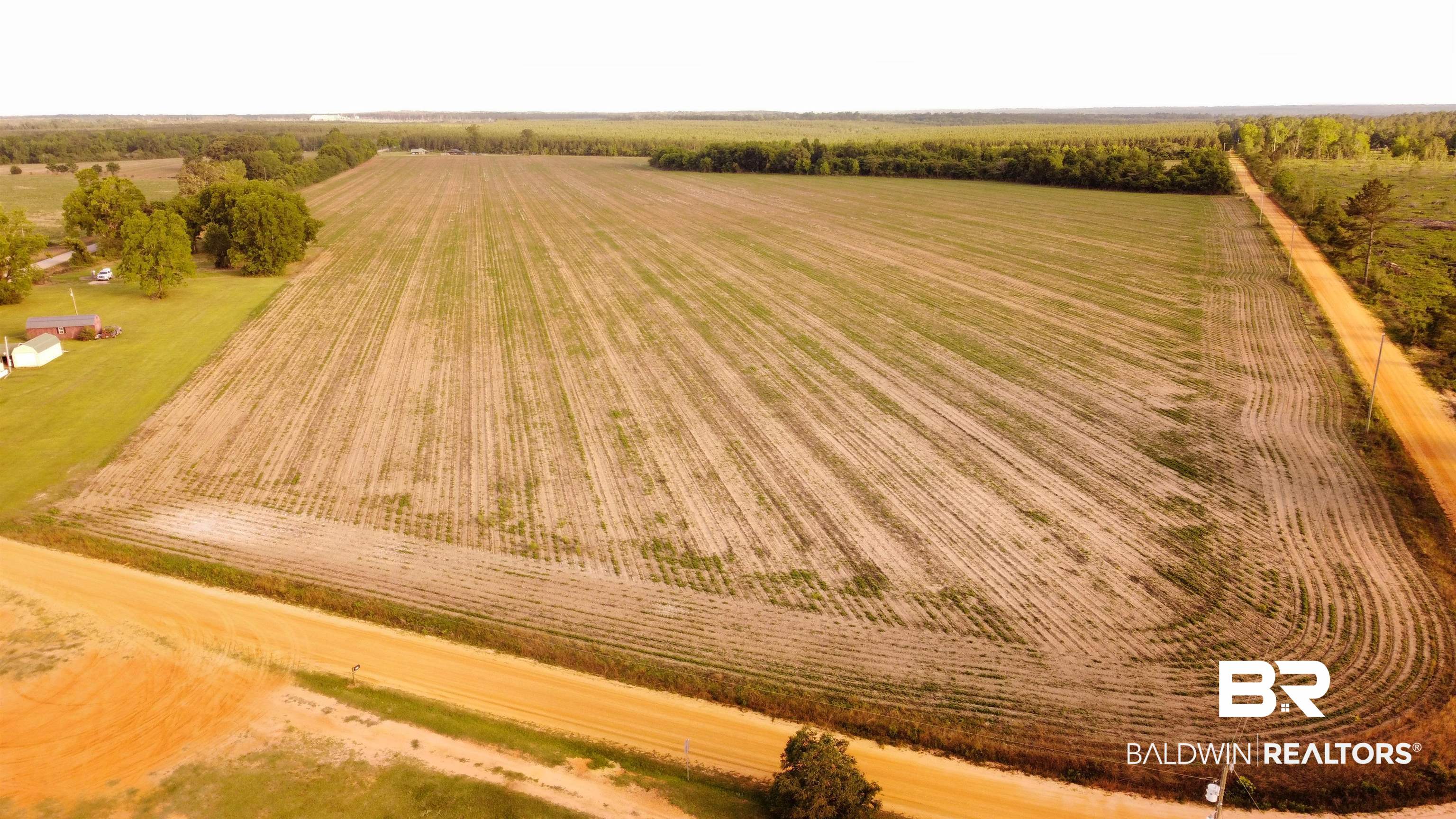 3595 Sardine Road Brewton, AL 36426 - Photo 7 of 9 Overview of rural landscape with extensive farmland