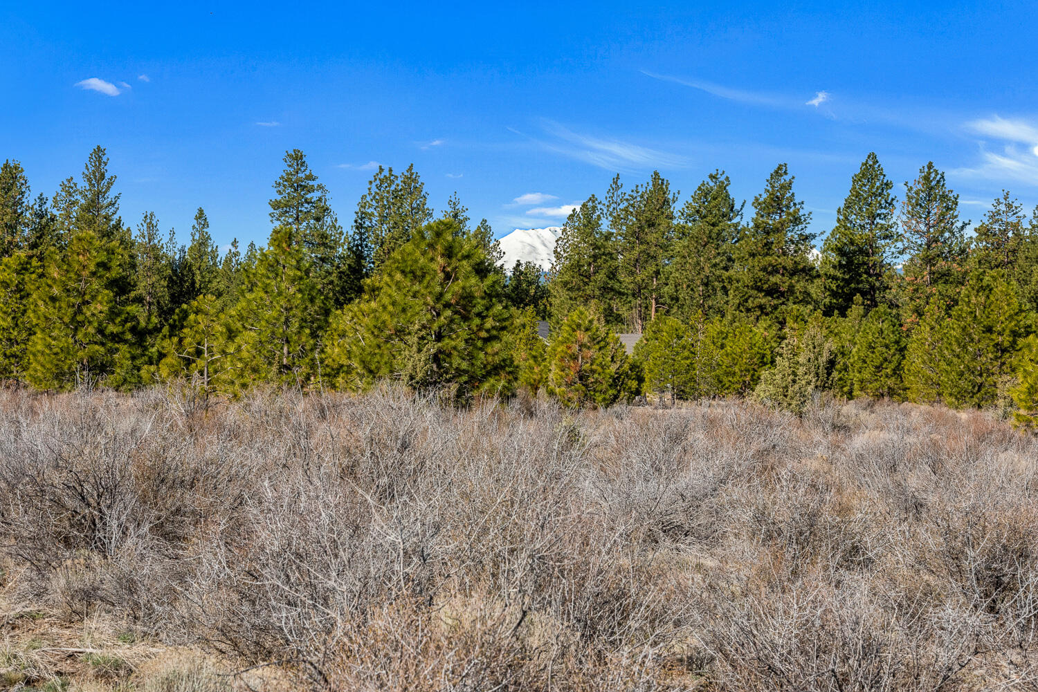 18945 Macalpine Loop Bend, OR 97702 - Photo 9 of 25 OReilly_20240402_6_295817_a_72ppi