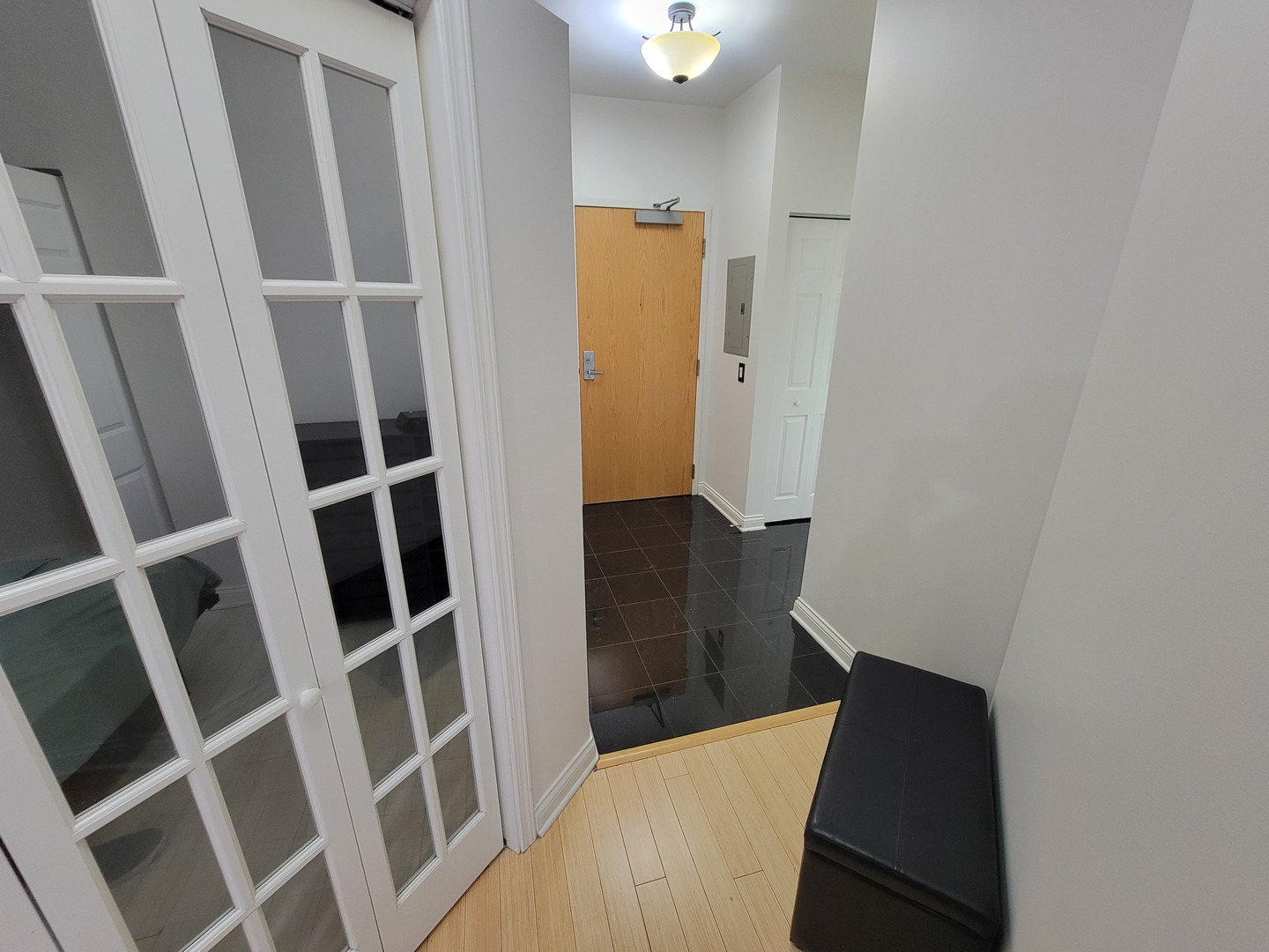 8 West Monroe Street, Unit 1508 Chicago, IL 60603 - Photo 18 of 25 a view of walk in closet