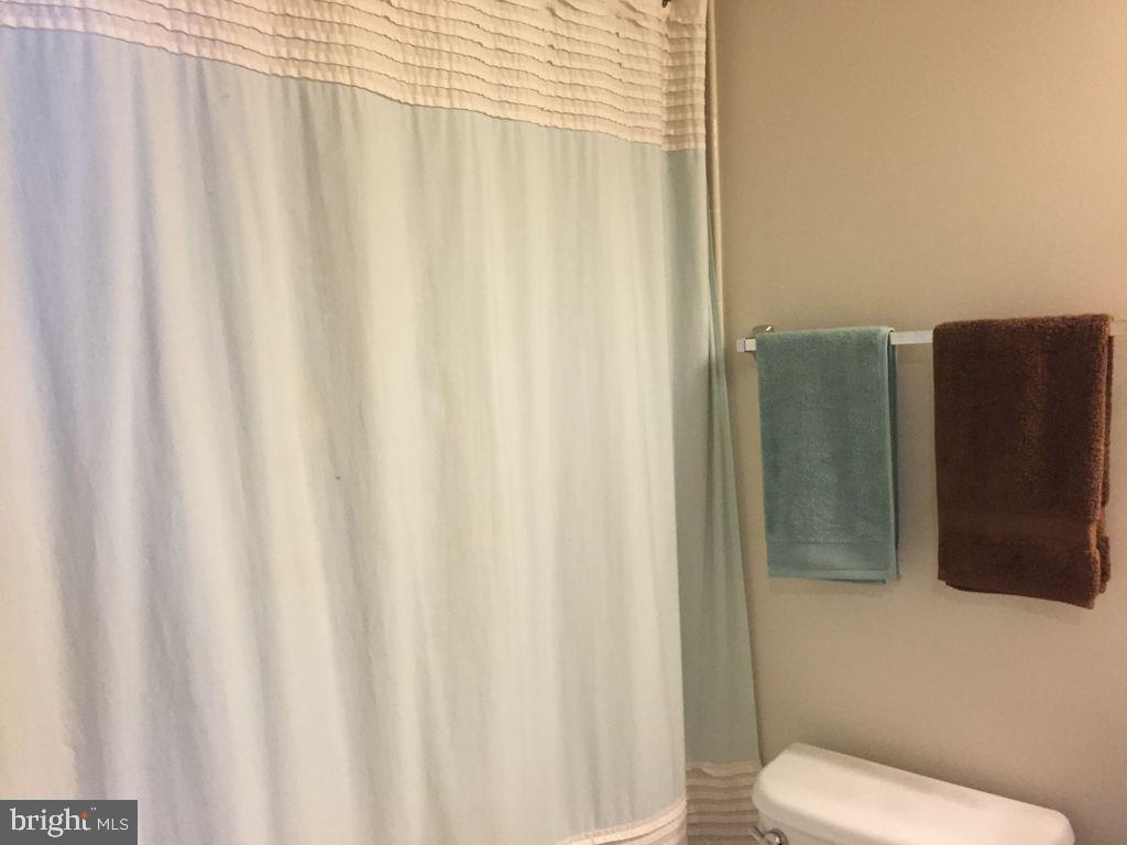 42268 Rhett Drive Brambleton, VA 20148 - Photo 12 of 17 Full bath at lower level