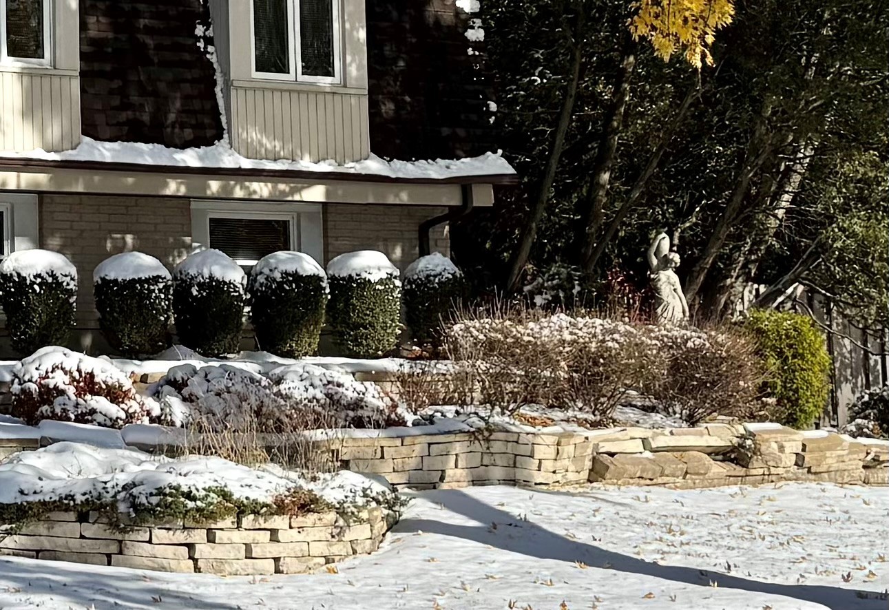 416 Trinity Court Buffalo Grove, IL 60089 - Photo 3 of 87