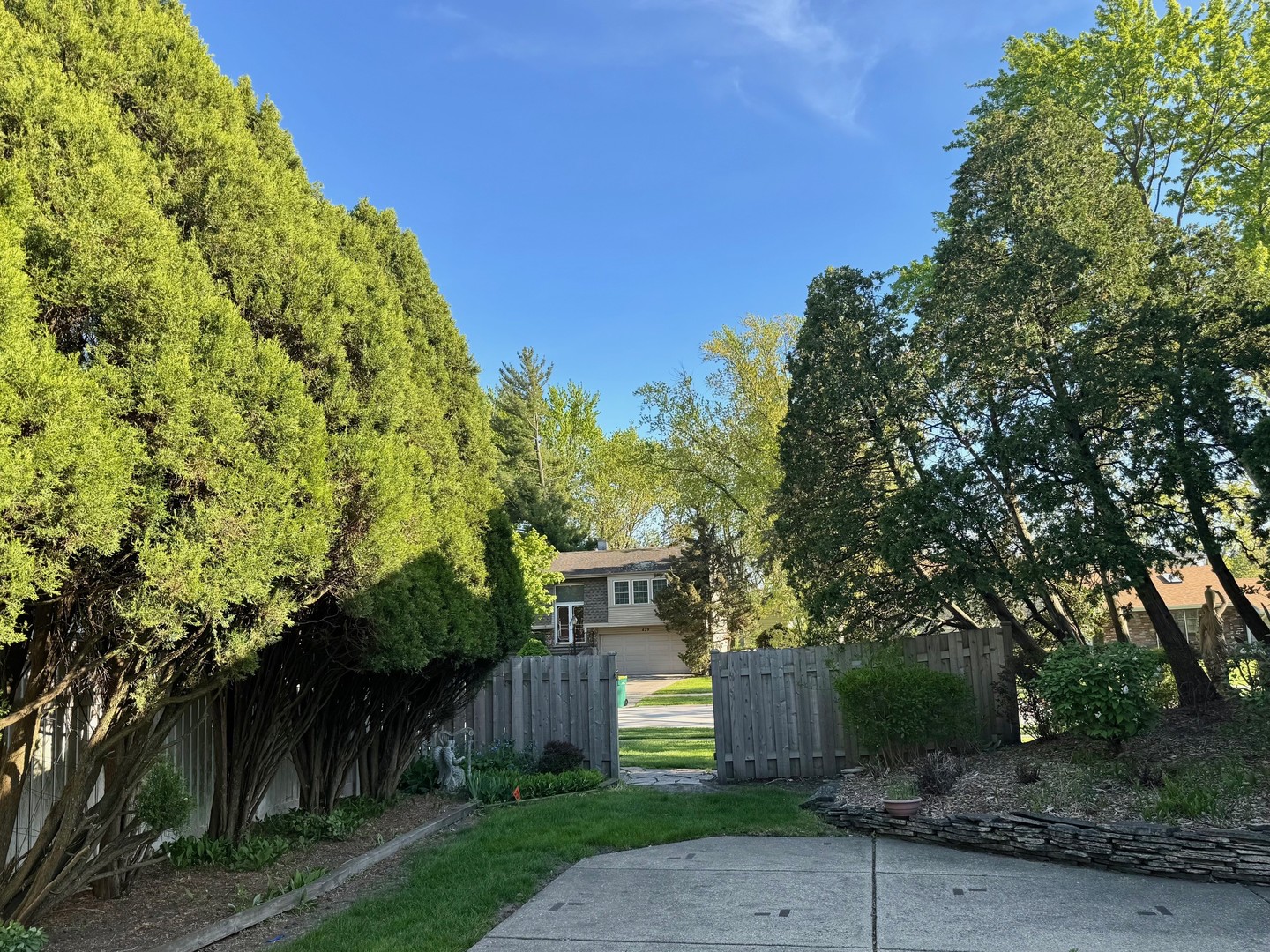 416 Trinity Court Buffalo Grove, IL 60089 - Photo 47 of 87 a front view of a house with a yard and tree