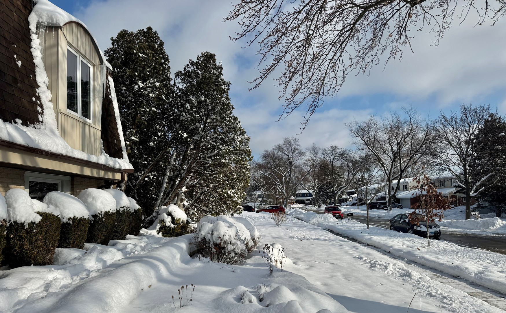 416 Trinity Court Buffalo Grove, IL 60089 - Photo 84 of 87