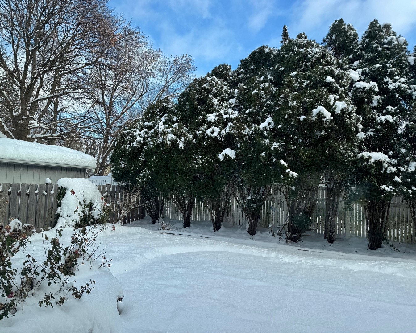 416 Trinity Court Buffalo Grove, IL 60089 - Photo 85 of 87