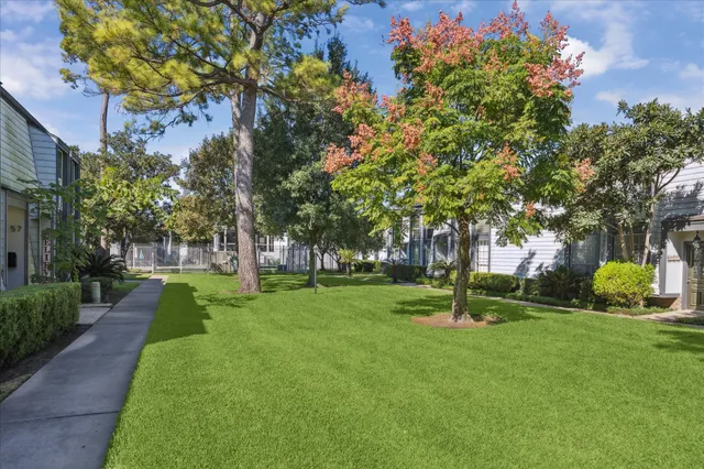 a garden with trees in front of it