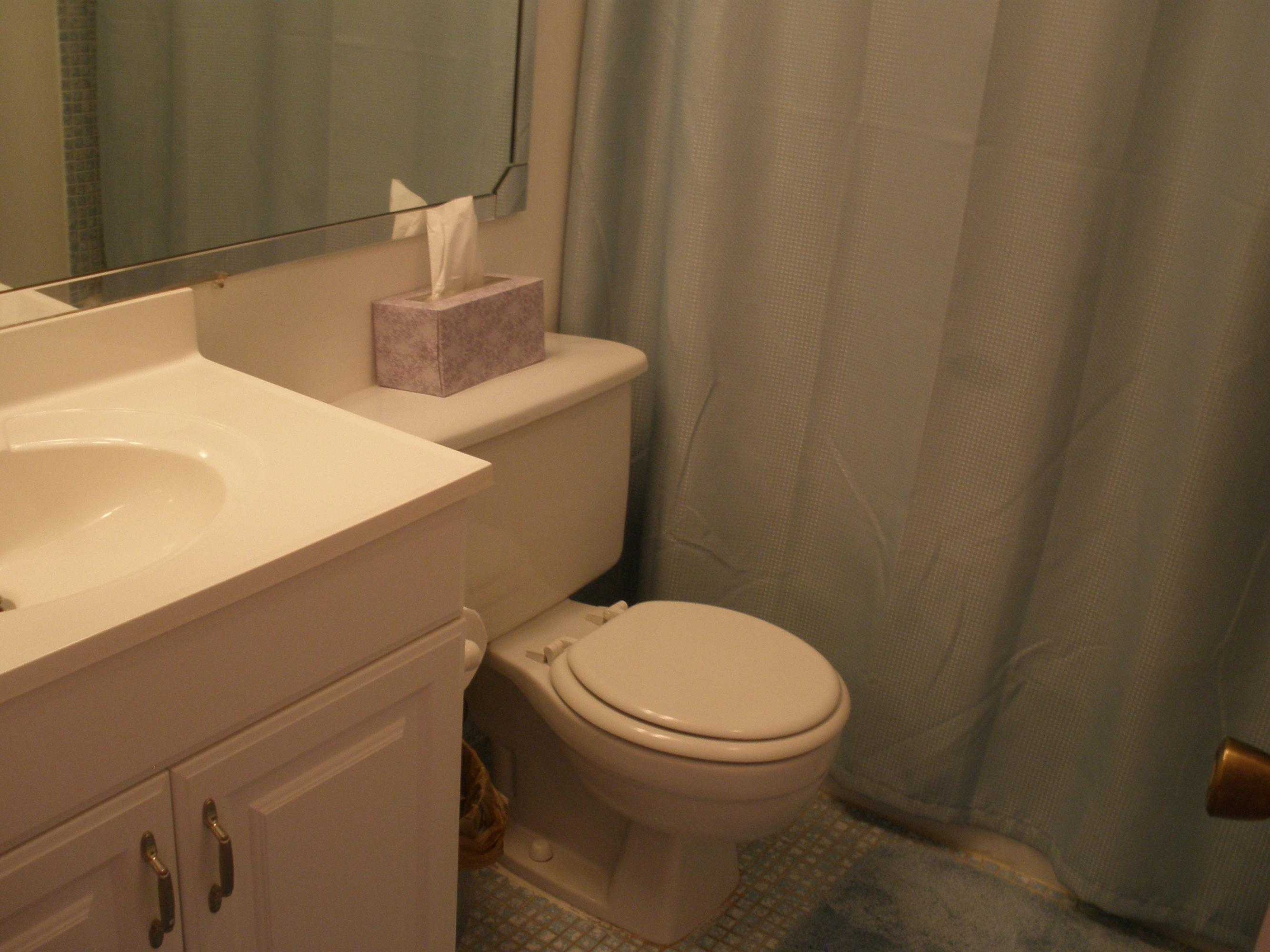 63 Fanshaw Drive, Unit B Boca Raton, FL 33434 - Photo 6 of 13 bath