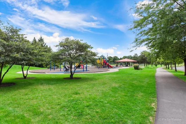 a view of a park with large trees