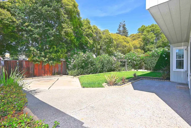 a view of a garden with a bench