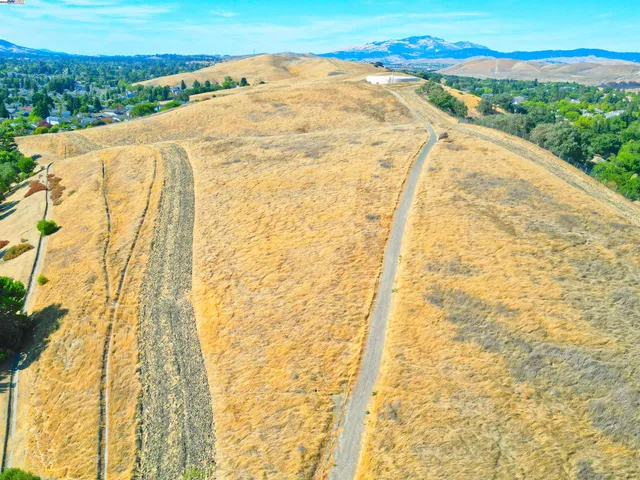 a view of a big yard with potted plants and large trees