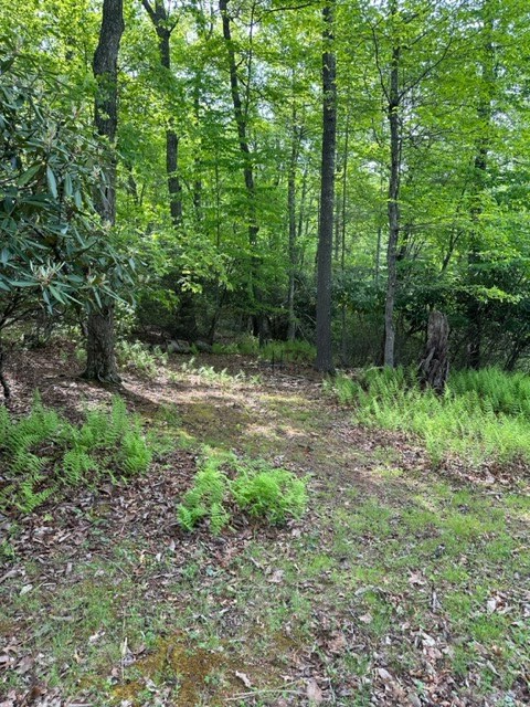225 Ridge Line Trail Independence, VA 24348 - Photo 41 of 45 Gallery Image 41