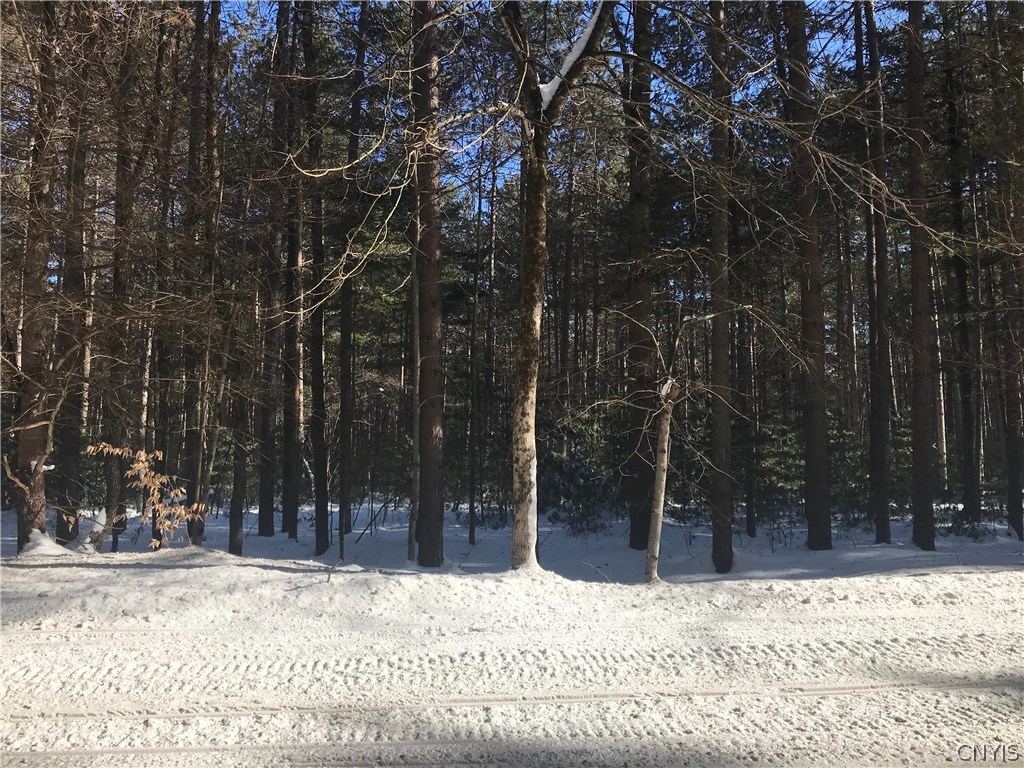 Lot 4 Partridgeville Road Brantingham, NY 13312 - Photo 1 of 1