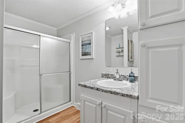 a bathroom with a granite countertop shower sink and mirror