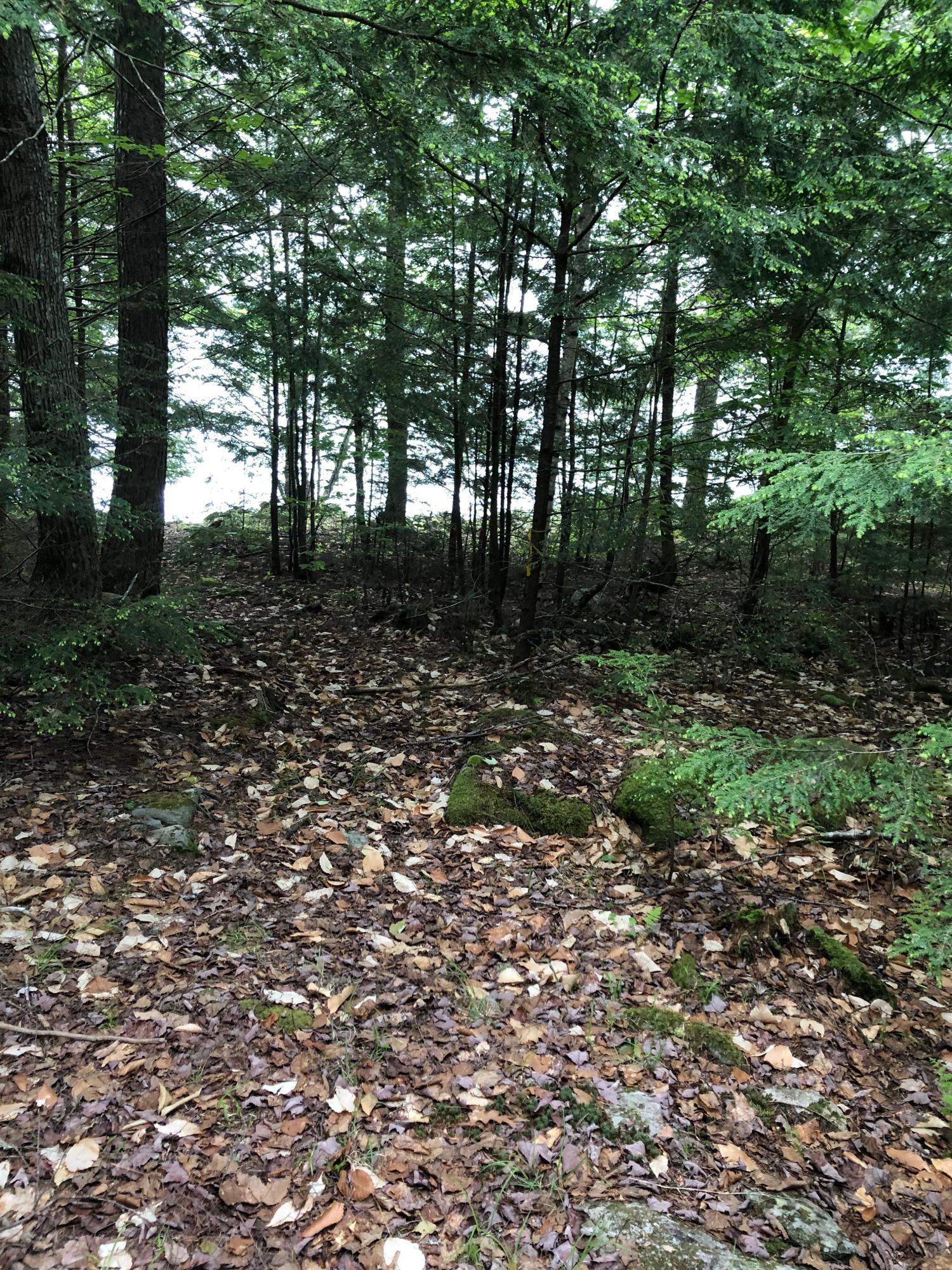 0 Albin Road Searsmont, ME 04973 - Photo 15 of 21 IMG_2662