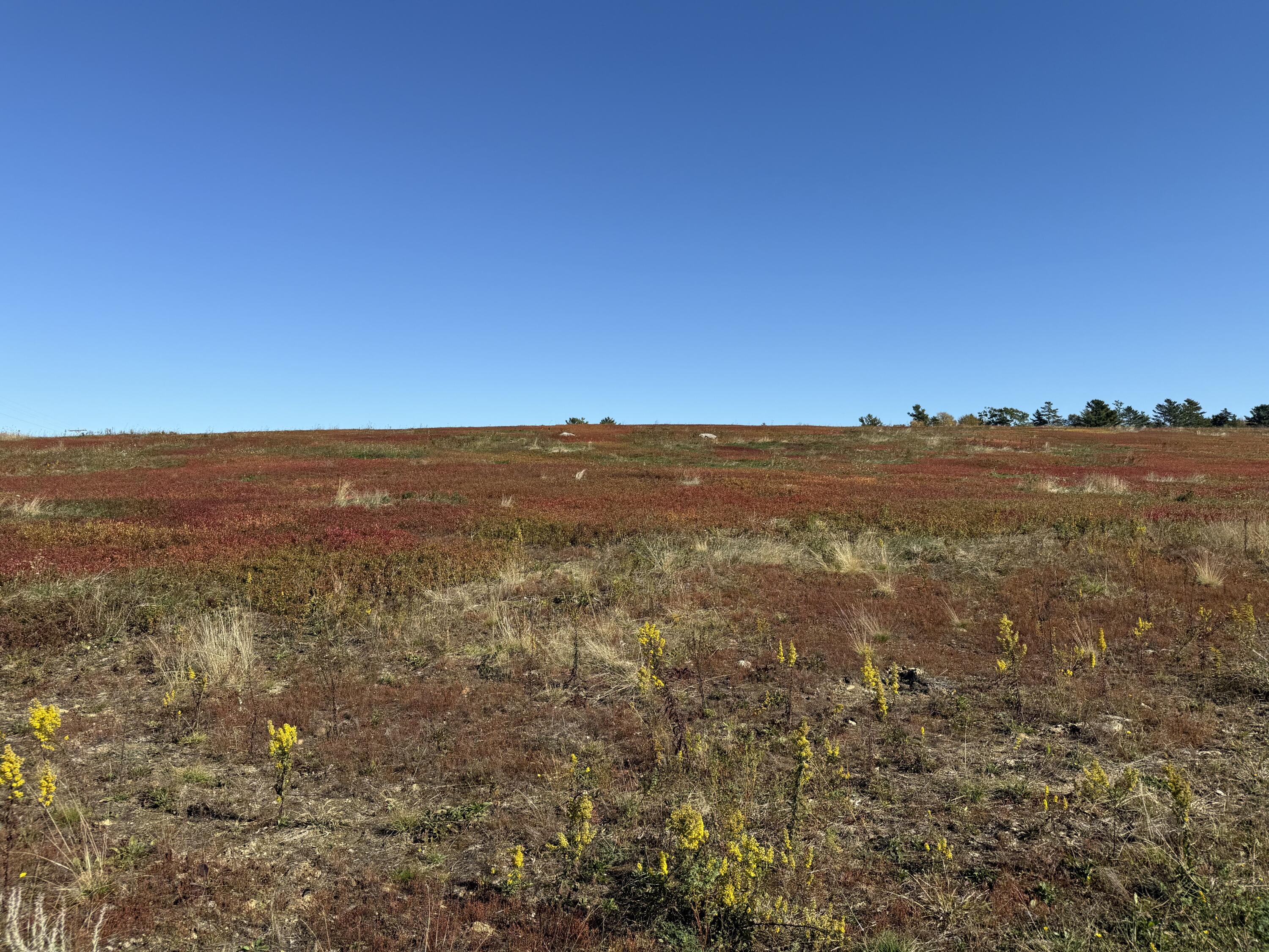 Mr2-l122-1 Old County Road Stockton Springs, ME 04981 - Photo 16 of 44 IMG_3606