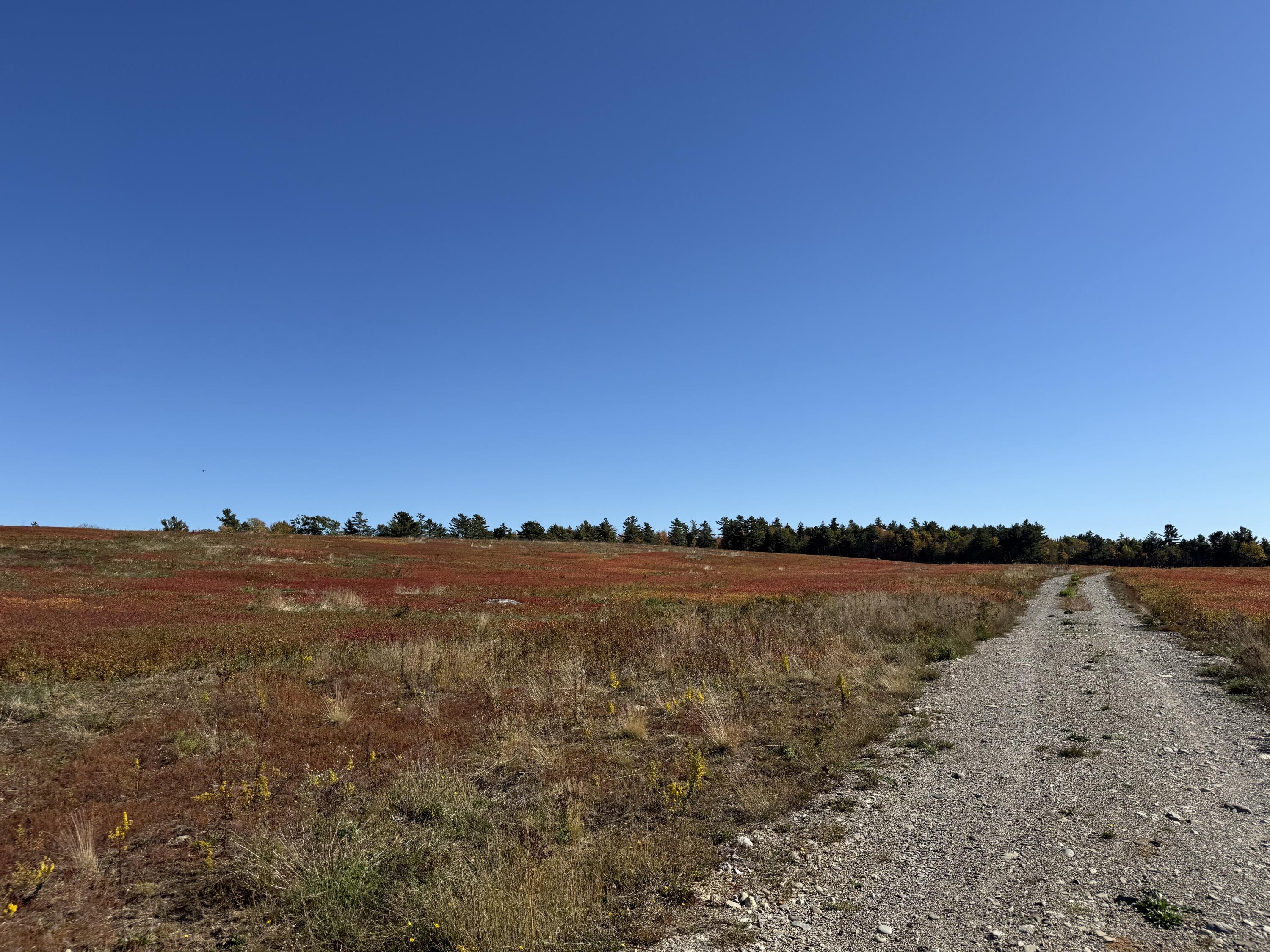 Mr2-l122-1 Old County Road Stockton Springs, ME 04981 - Photo 17 of 44 IMG_3607