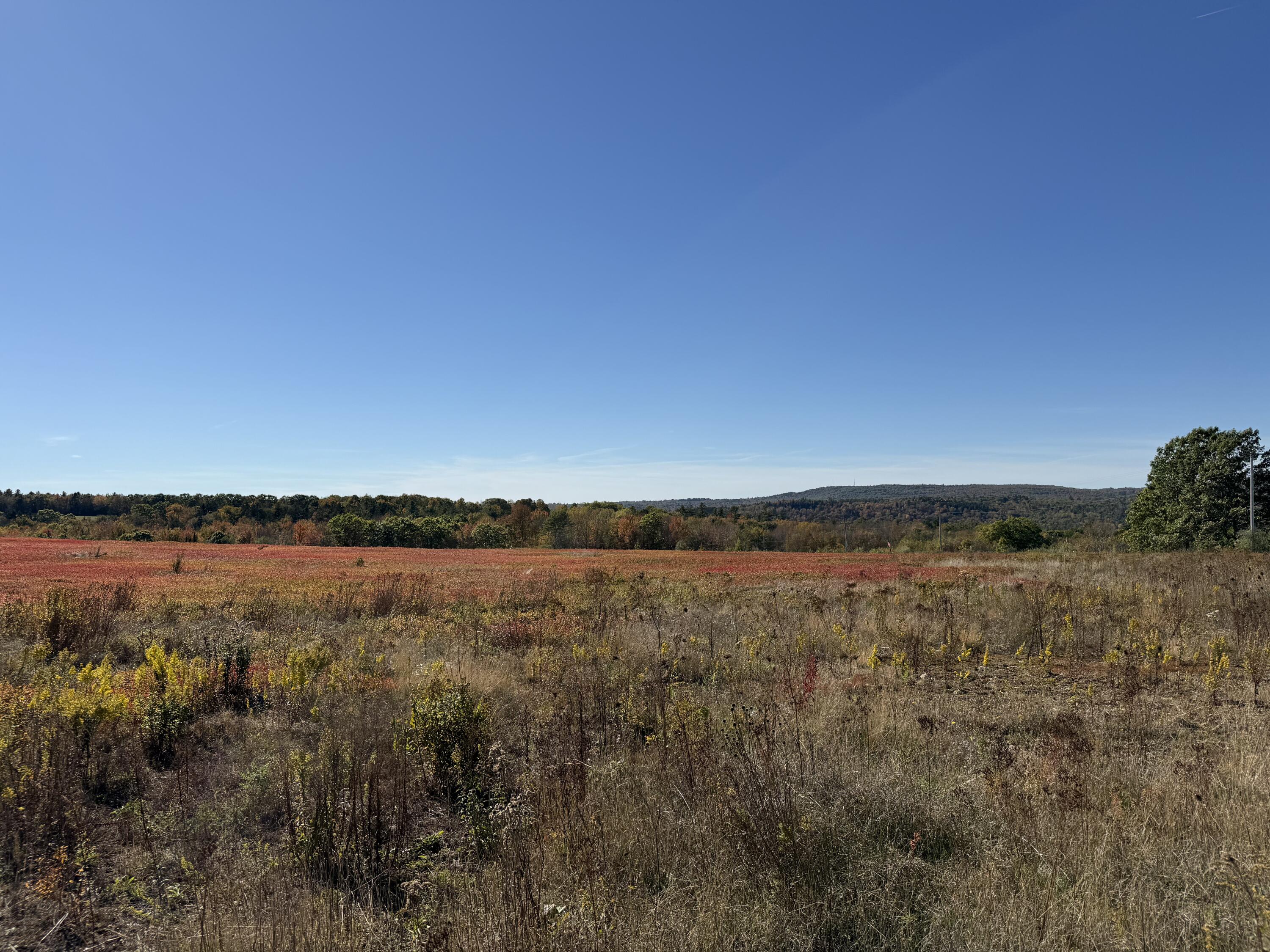 Mr2-l122-1 Old County Road Stockton Springs, ME 04981 - Photo 18 of 44 IMG_3608