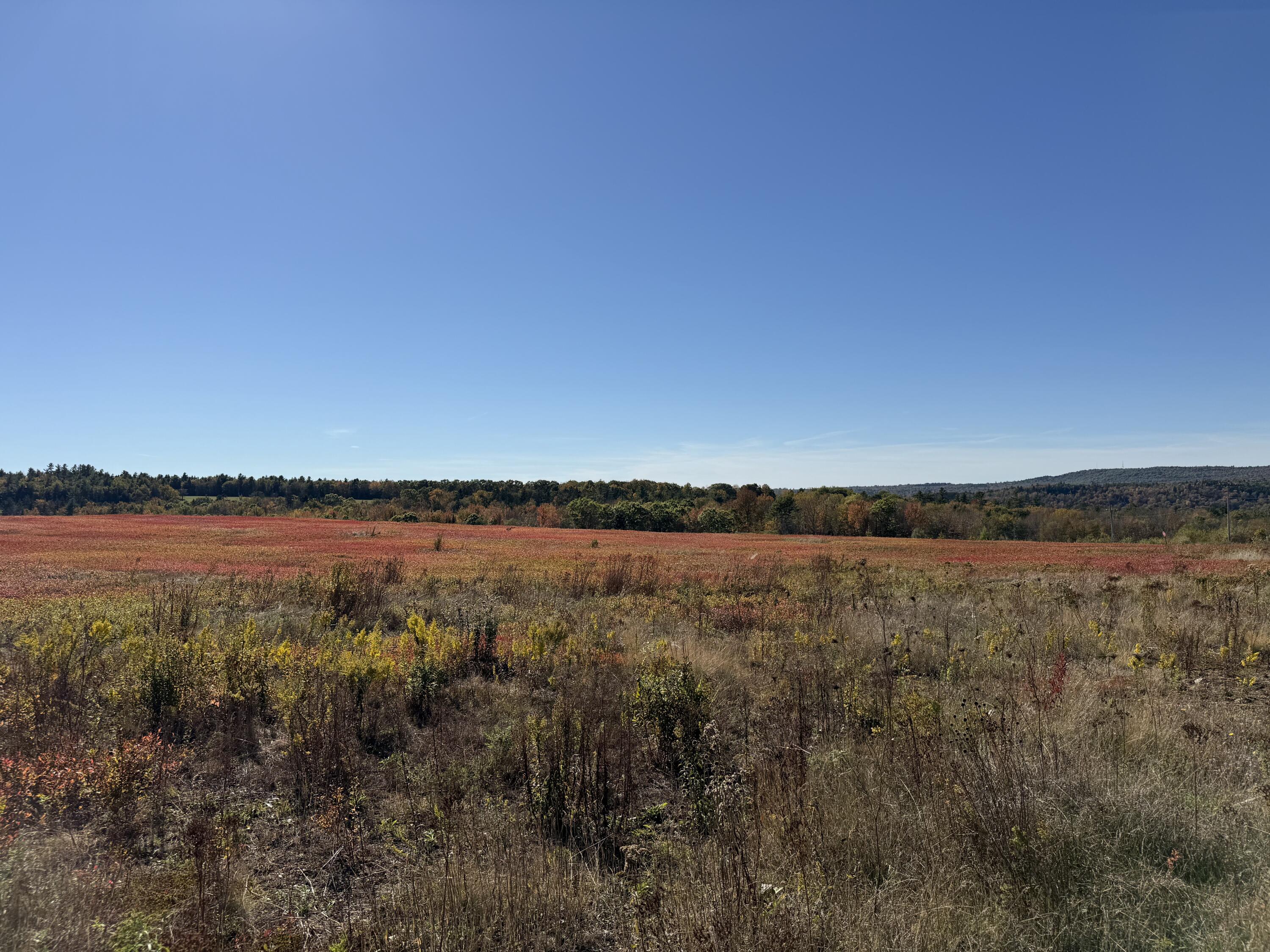 Mr2-l122-1 Old County Road Stockton Springs, ME 04981 - Photo 19 of 44 IMG_3609