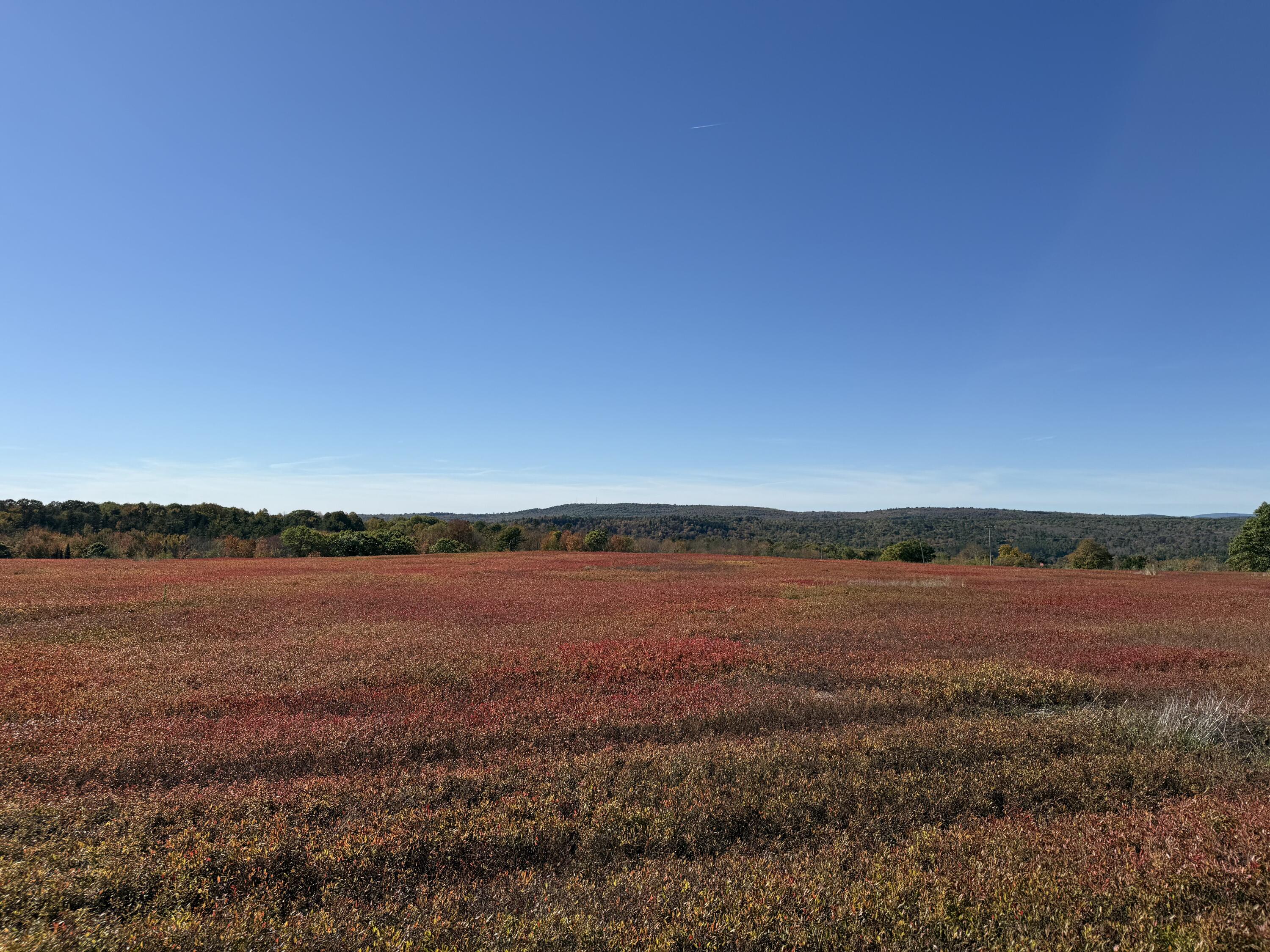 Mr2-l122-1 Old County Road Stockton Springs, ME 04981 - Photo 20 of 44 IMG_3610