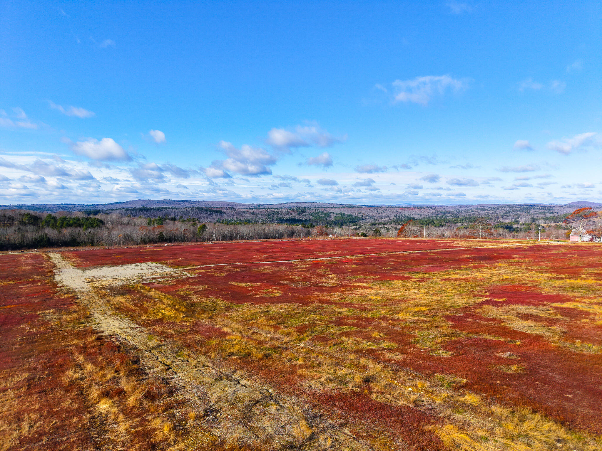 Mr2-l122-1 Old County Road Stockton Springs, ME 04981 - Photo 2 of 44 Blueberry fields