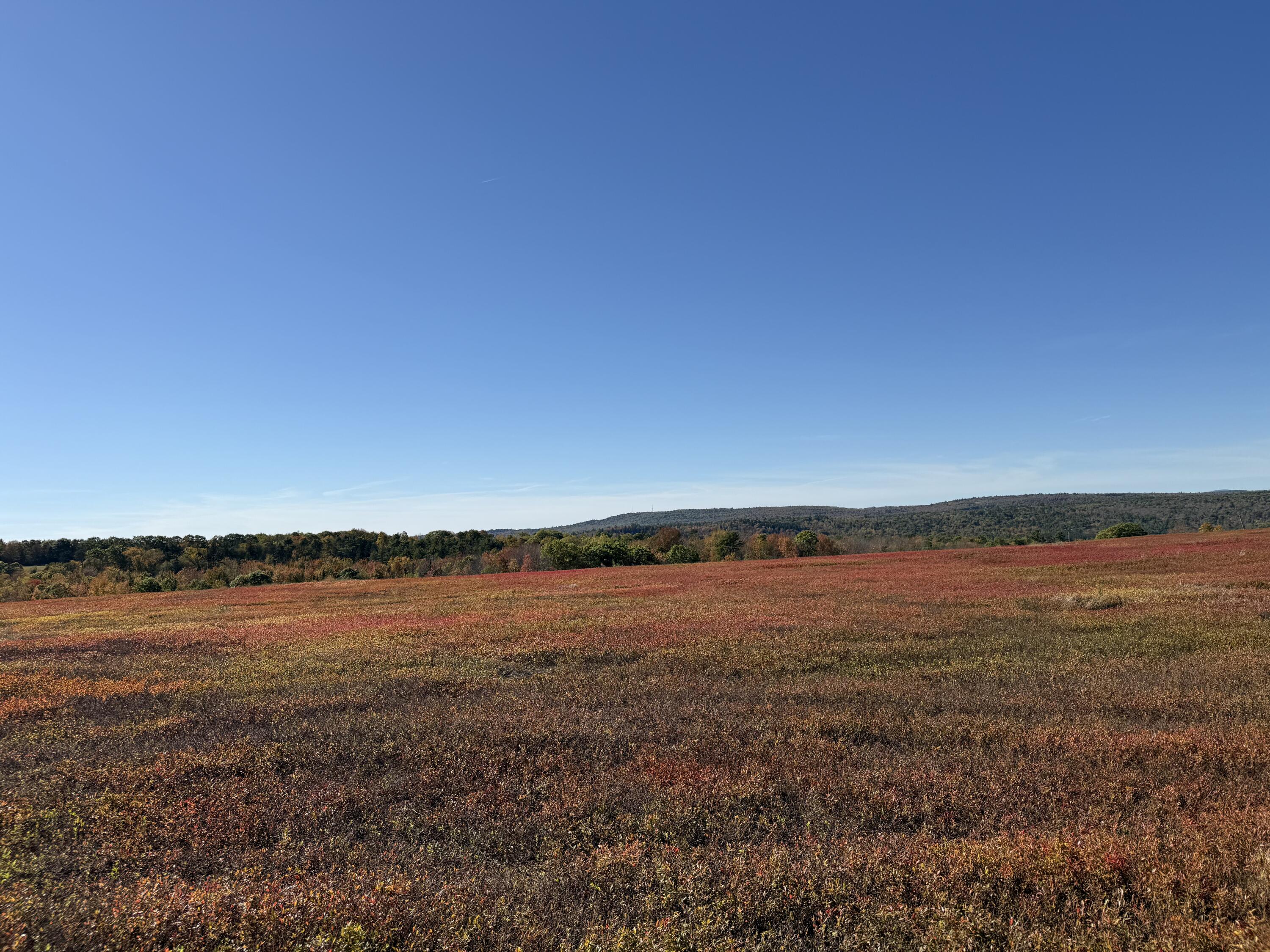 Mr2-l122-1 Old County Road Stockton Springs, ME 04981 - Photo 22 of 44 IMG_3613
