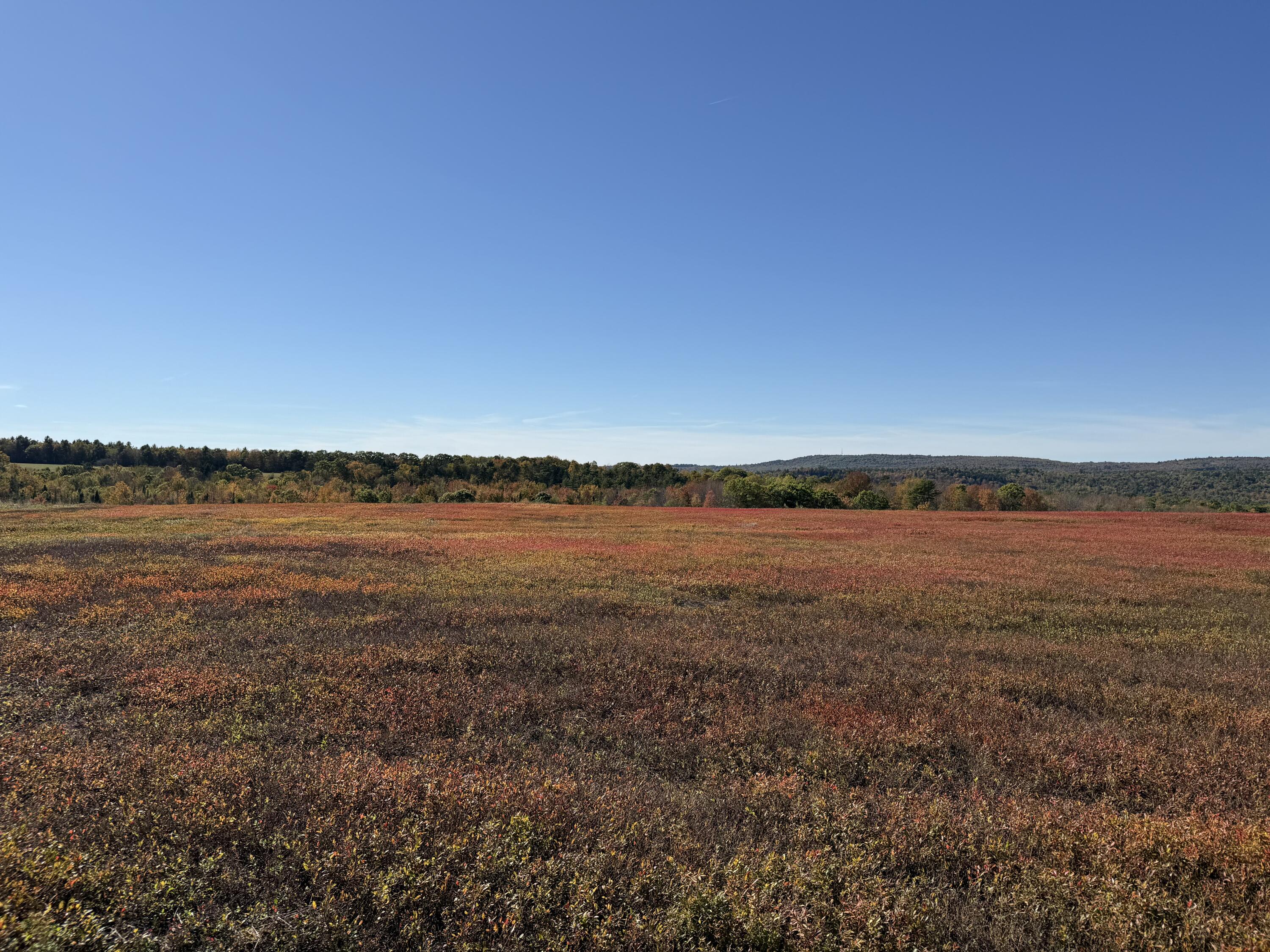 Mr2-l122-1 Old County Road Stockton Springs, ME 04981 - Photo 23 of 44 IMG_3612