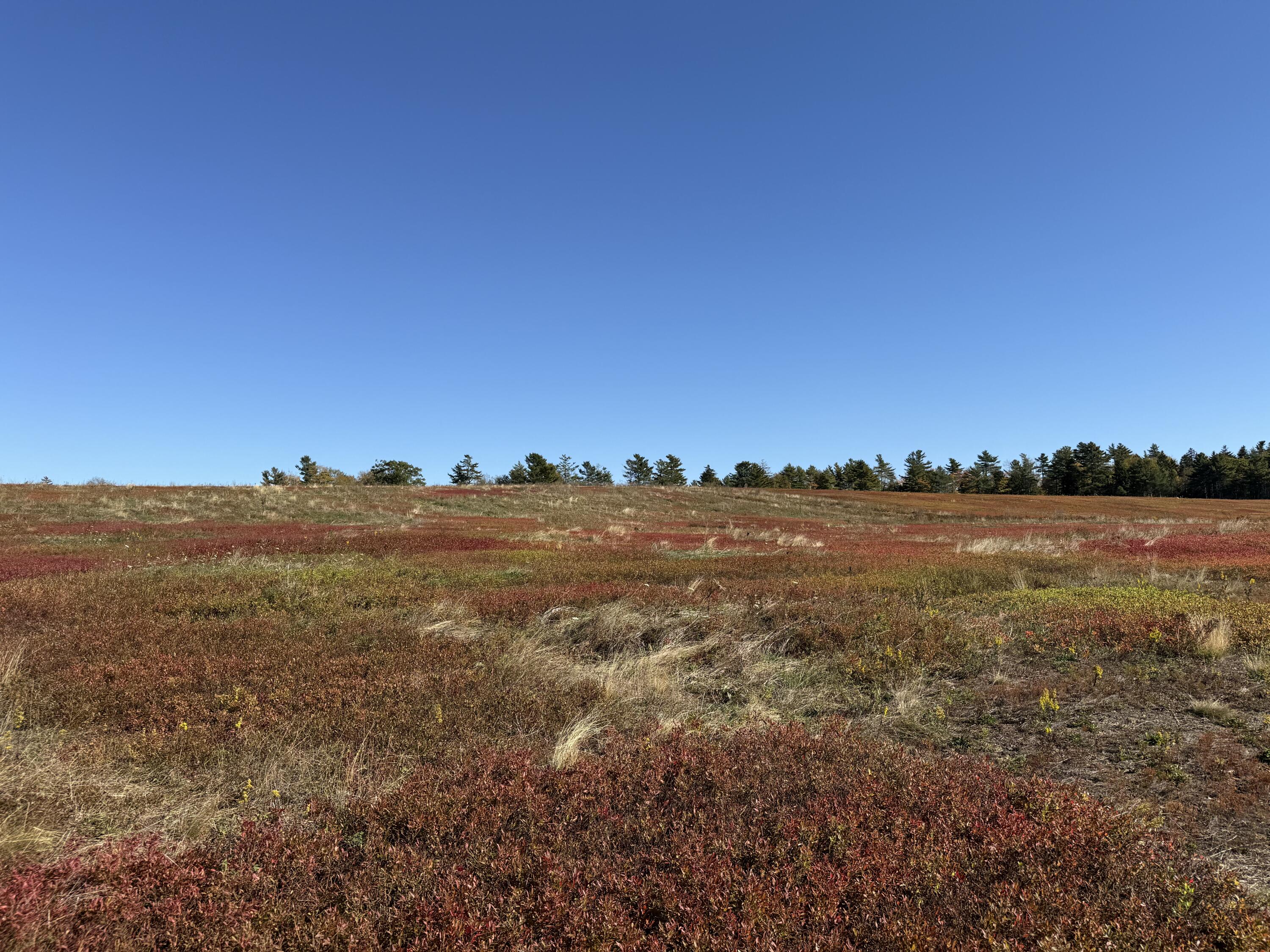 Mr2-l122-1 Old County Road Stockton Springs, ME 04981 - Photo 24 of 44 IMG_3611