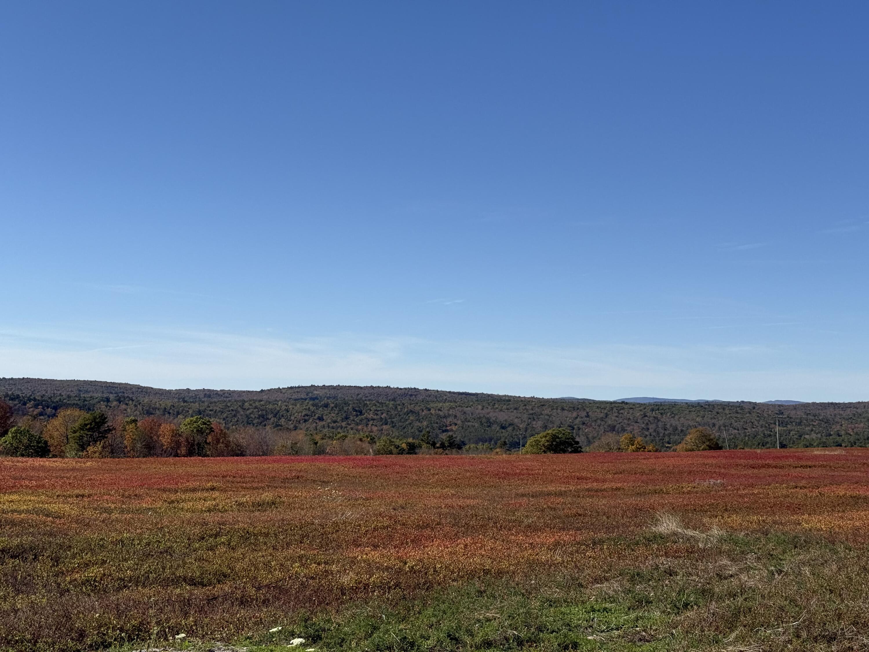 Mr2-l122-1 Old County Road Stockton Springs, ME 04981 - Photo 25 of 44 IMG_3615