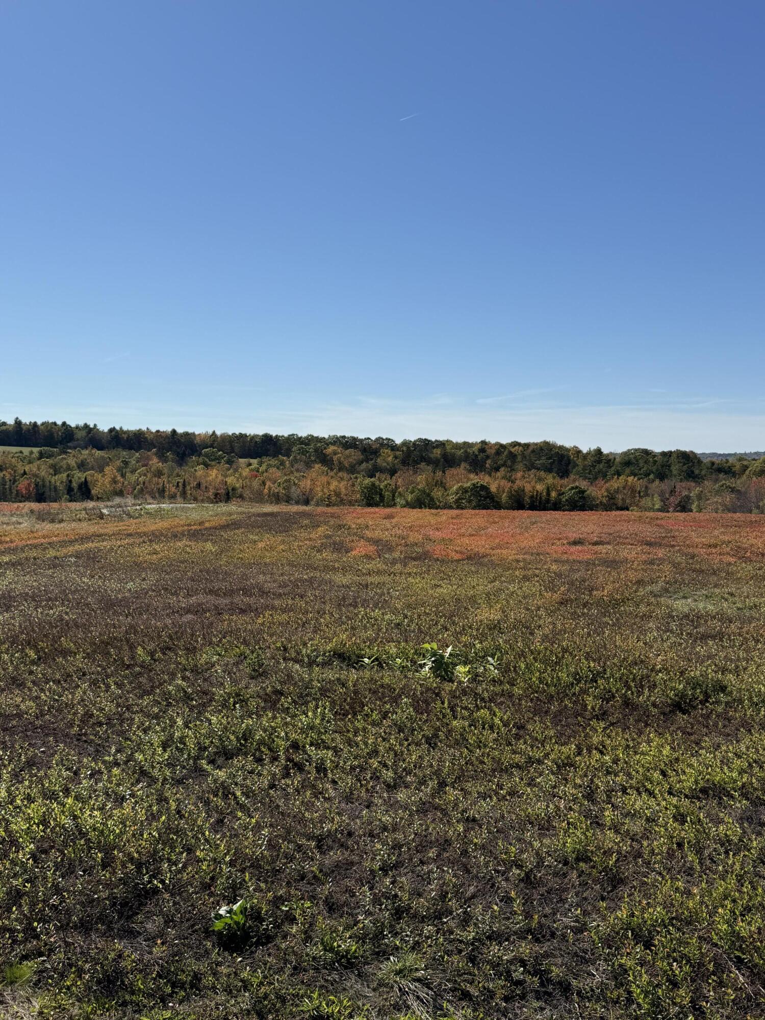 Mr2-l122-1 Old County Road Stockton Springs, ME 04981 - Photo 27 of 44 IMG_3616