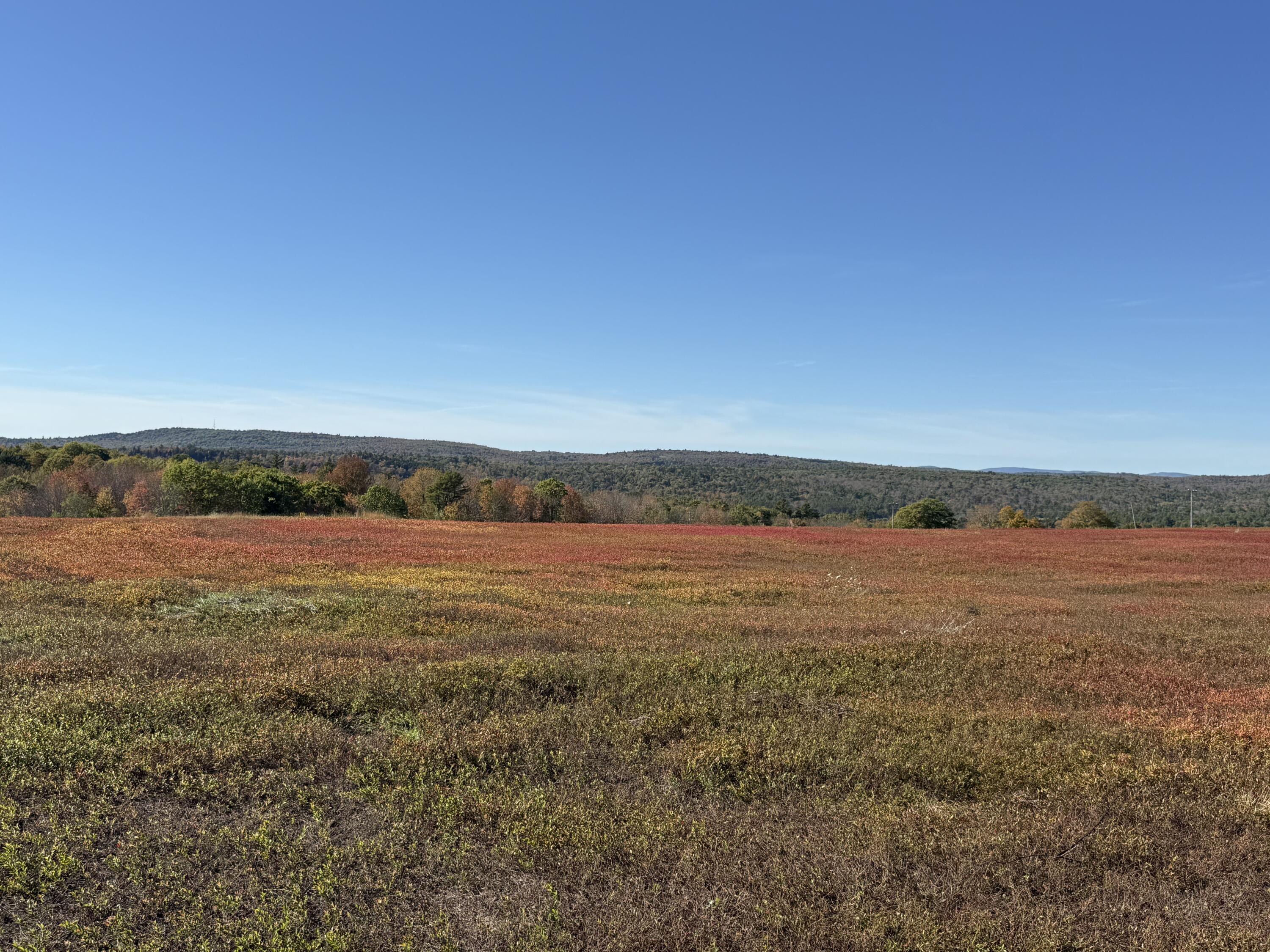 Mr2-l122-1 Old County Road Stockton Springs, ME 04981 - Photo 28 of 44 IMG_3618