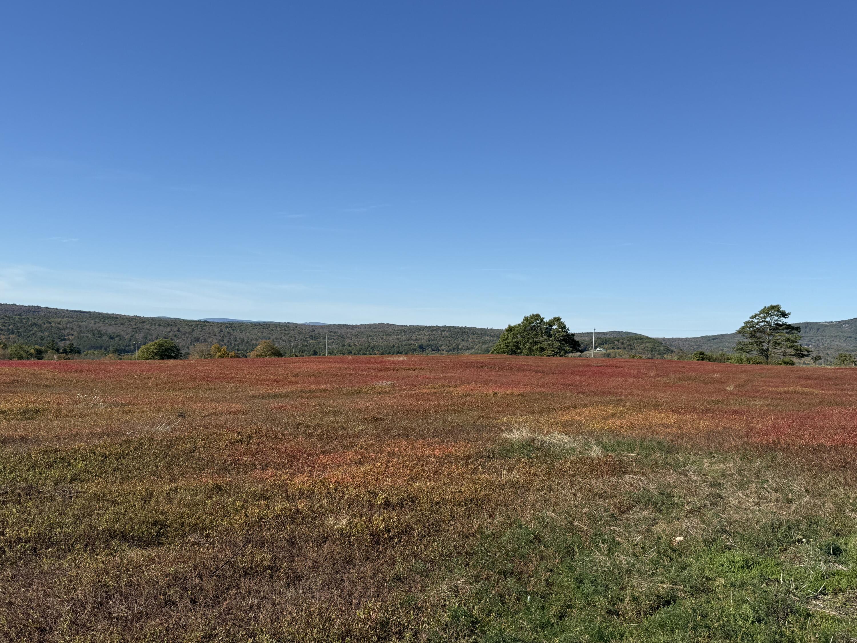 Mr2-l122-1 Old County Road Stockton Springs, ME 04981 - Photo 29 of 44 IMG_3619