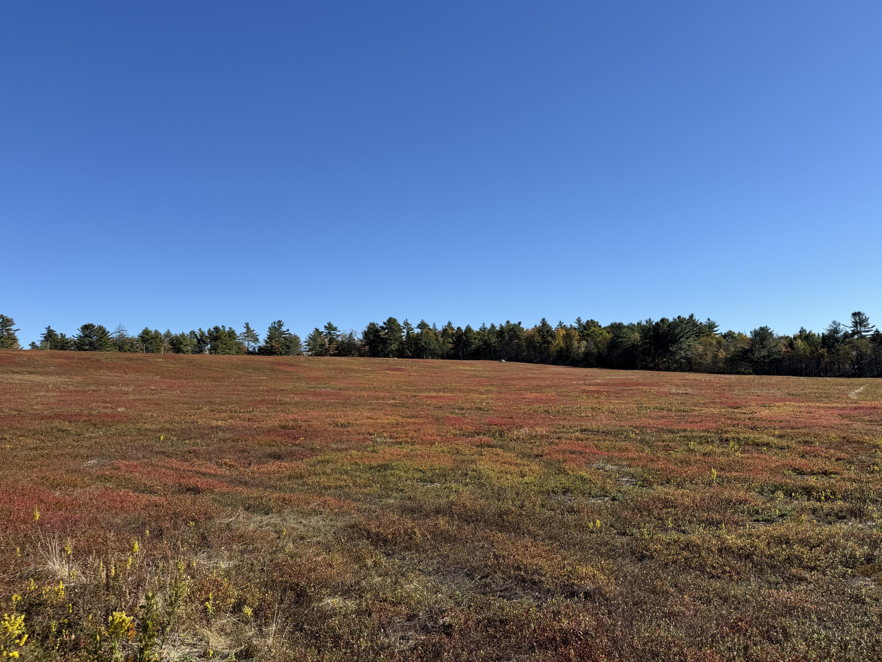 Mr2-l122-1 Old County Road Stockton Springs, ME 04981 - Photo 32 of 44 IMG_3622