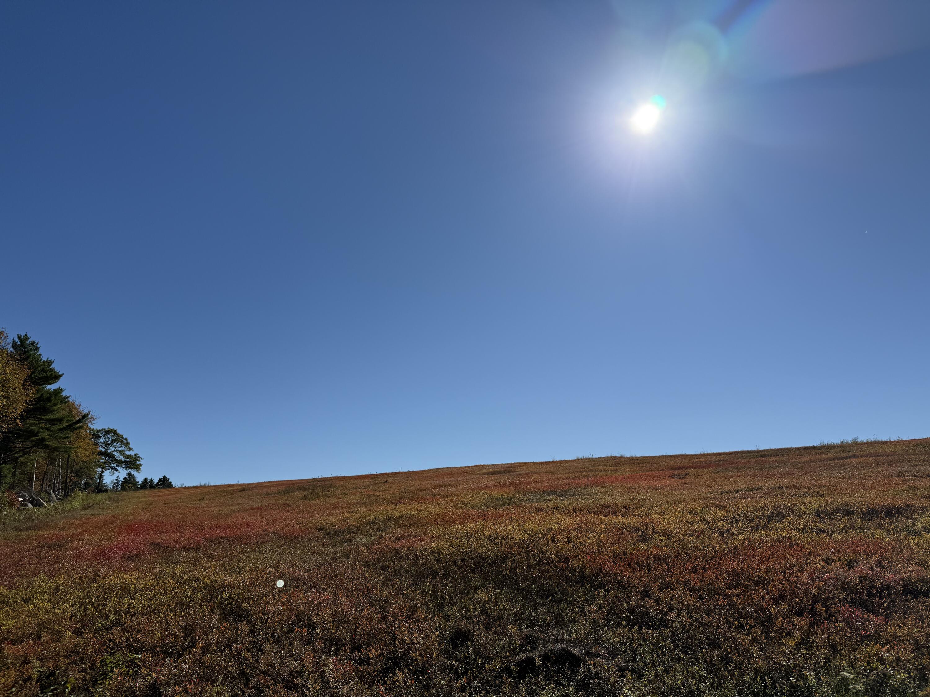 Mr2-l122-1 Old County Road Stockton Springs, ME 04981 - Photo 33 of 44 IMG_3626