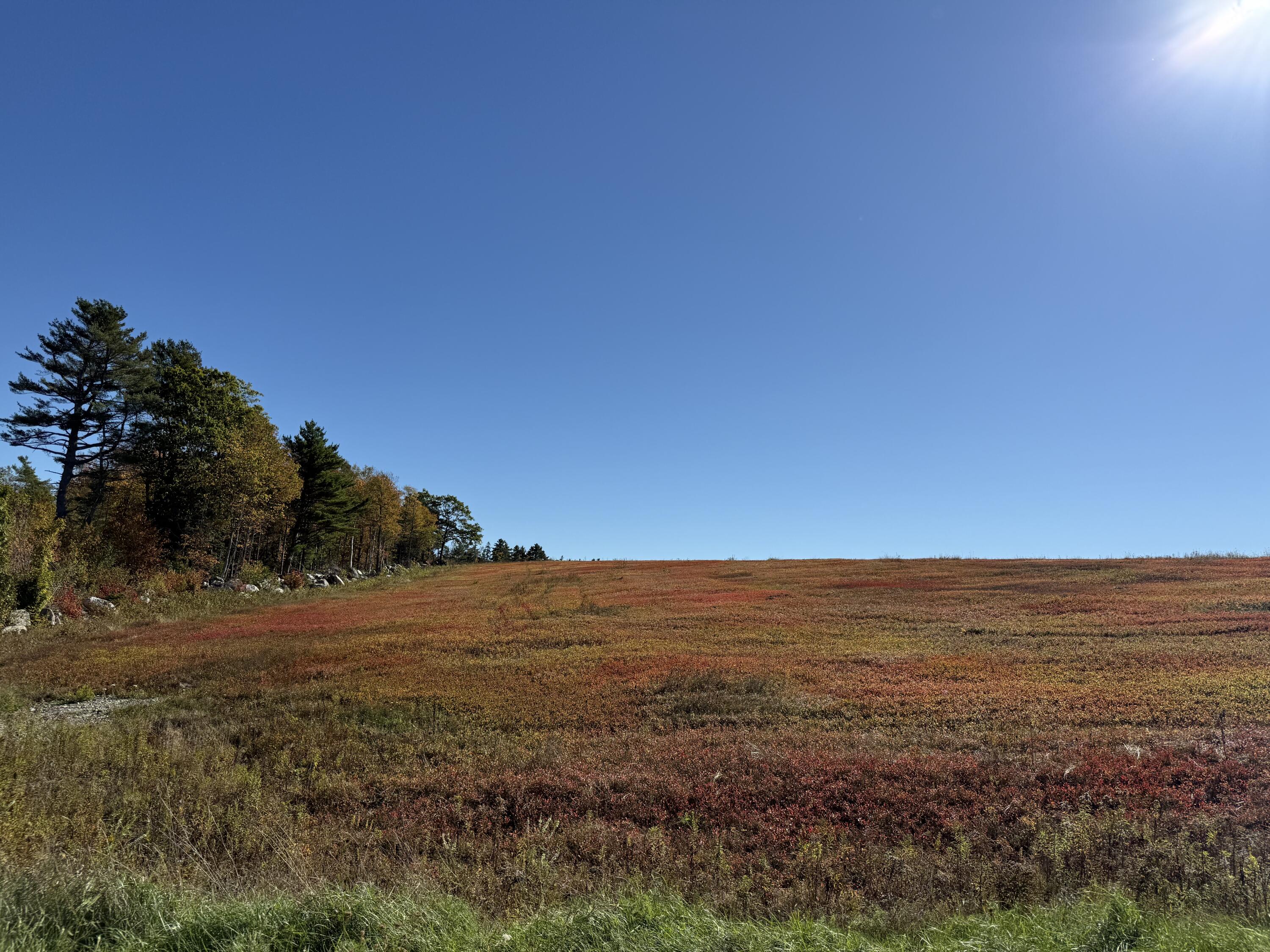 Mr2-l122-1 Old County Road Stockton Springs, ME 04981 - Photo 36 of 44 IMG_3628