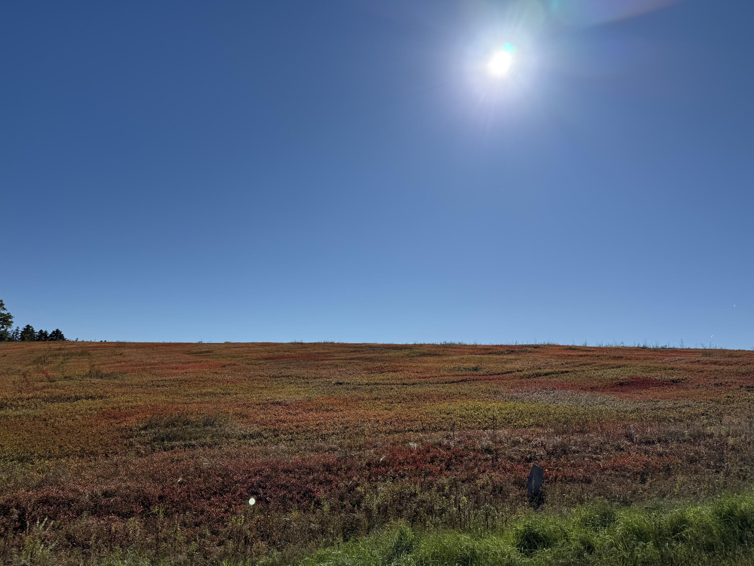 Mr2-l122-1 Old County Road Stockton Springs, ME 04981 - Photo 37 of 44 IMG_3629