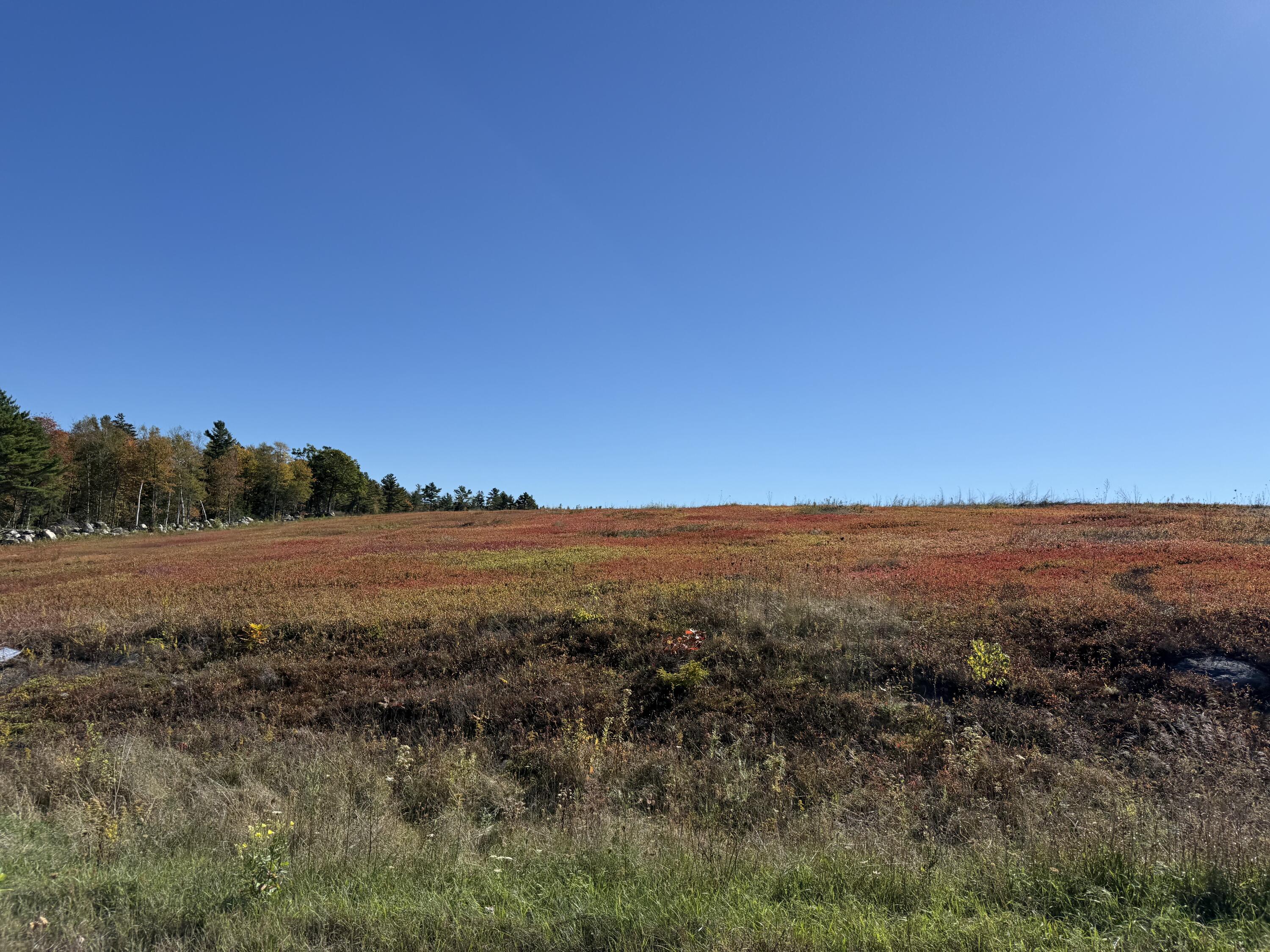 Mr2-l122-1 Old County Road Stockton Springs, ME 04981 - Photo 38 of 44 IMG_3630
