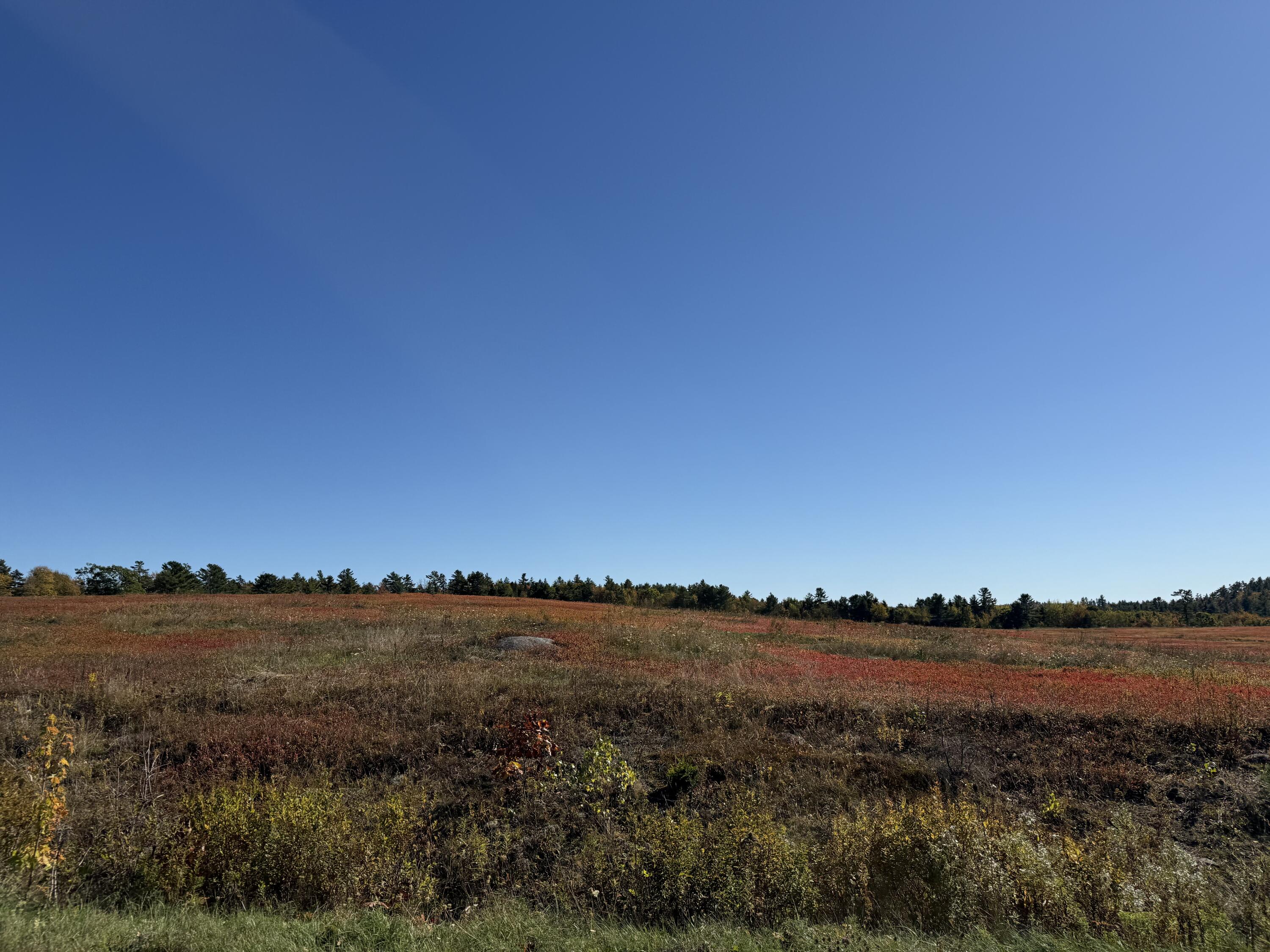 Mr2-l122-1 Old County Road Stockton Springs, ME 04981 - Photo 39 of 44 IMG_3631