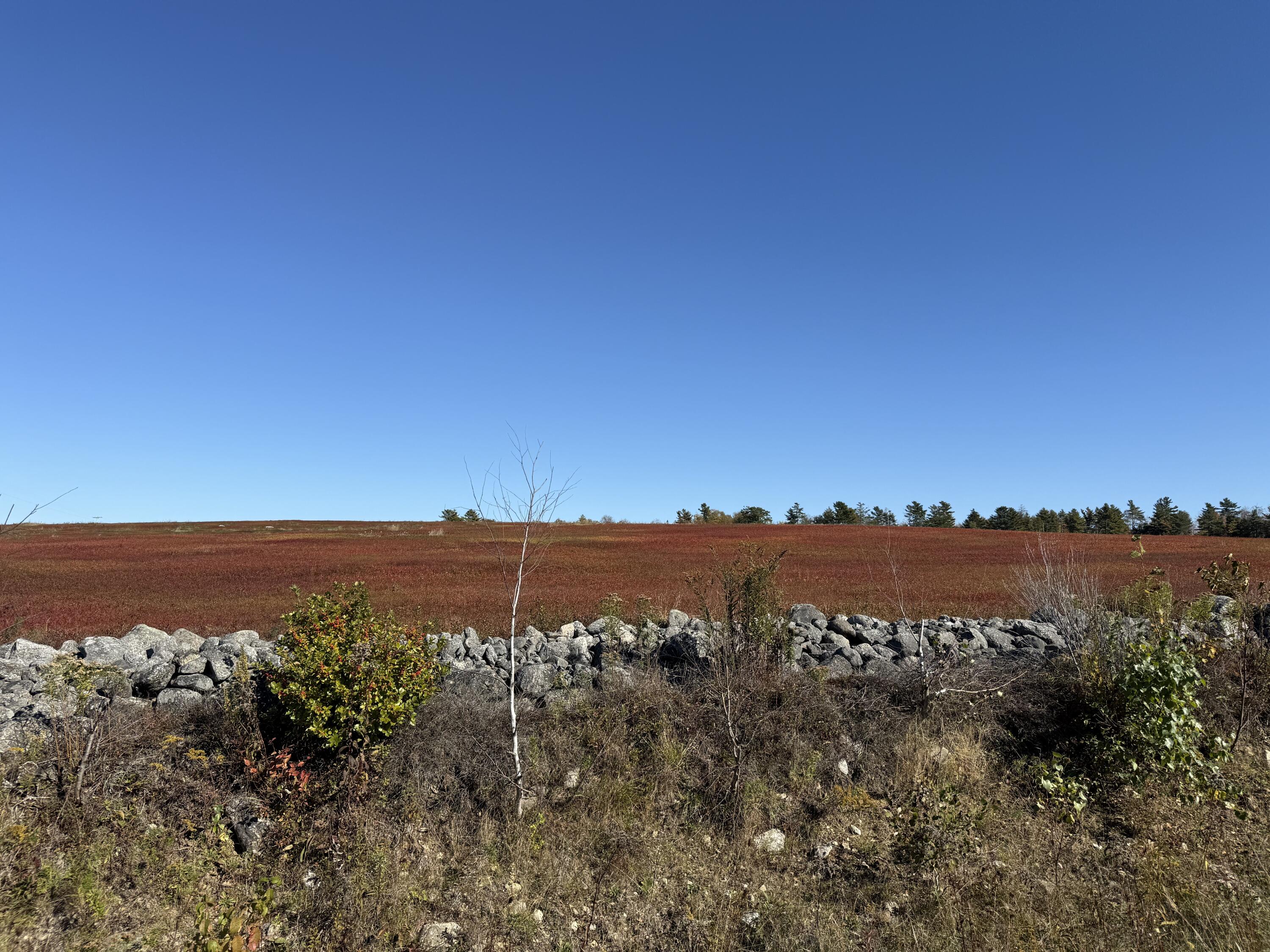 Mr2-l122-1 Old County Road Stockton Springs, ME 04981 - Photo 41 of 44 IMG_3633