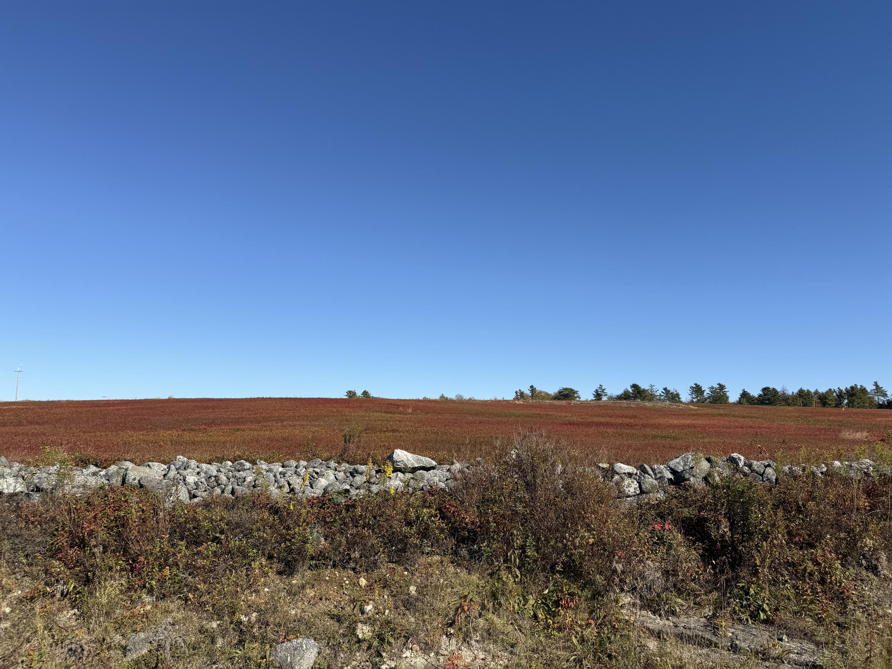 Mr2-l122-1 Old County Road Stockton Springs, ME 04981 - Photo 42 of 44 IMG_3634