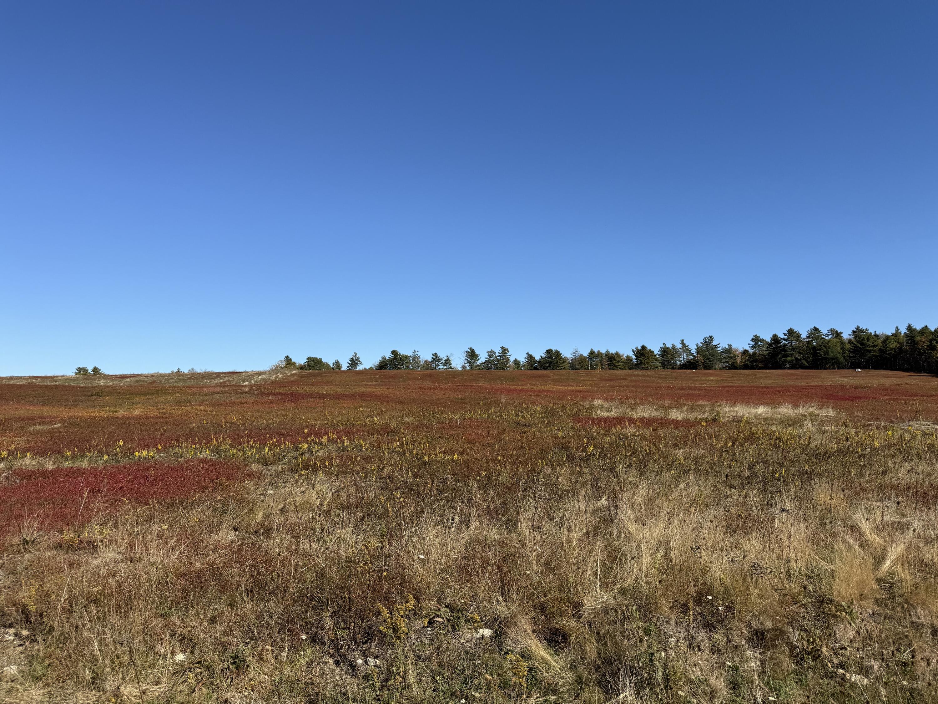 Mr2-l122-1 Old County Road Stockton Springs, ME 04981 - Photo 43 of 44 IMG_3636