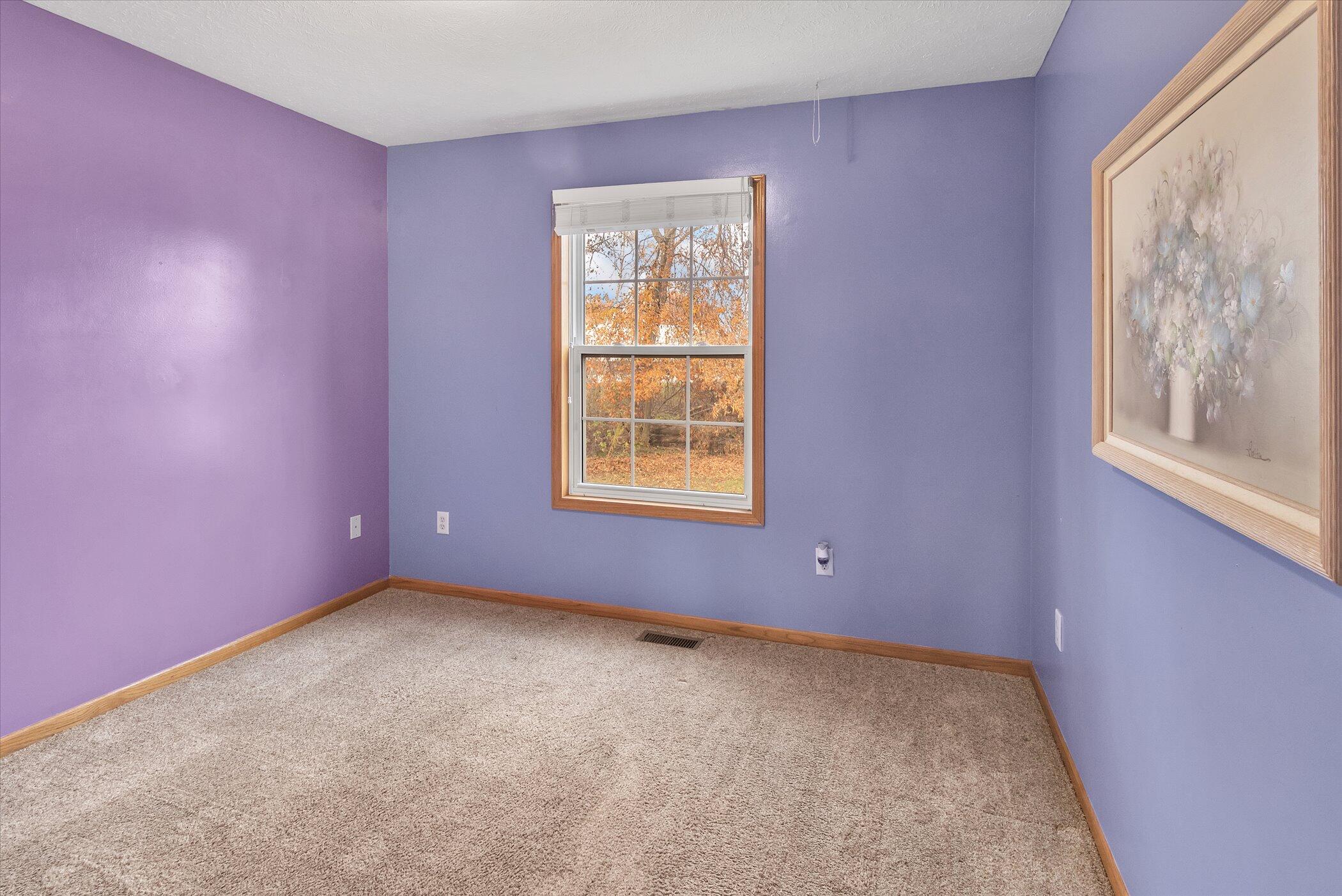 11500 Belding Road Northeast Belding, MI 48809 - Photo 14 of 28 18-11500-Belding-RD-WindowStill-Real-Est