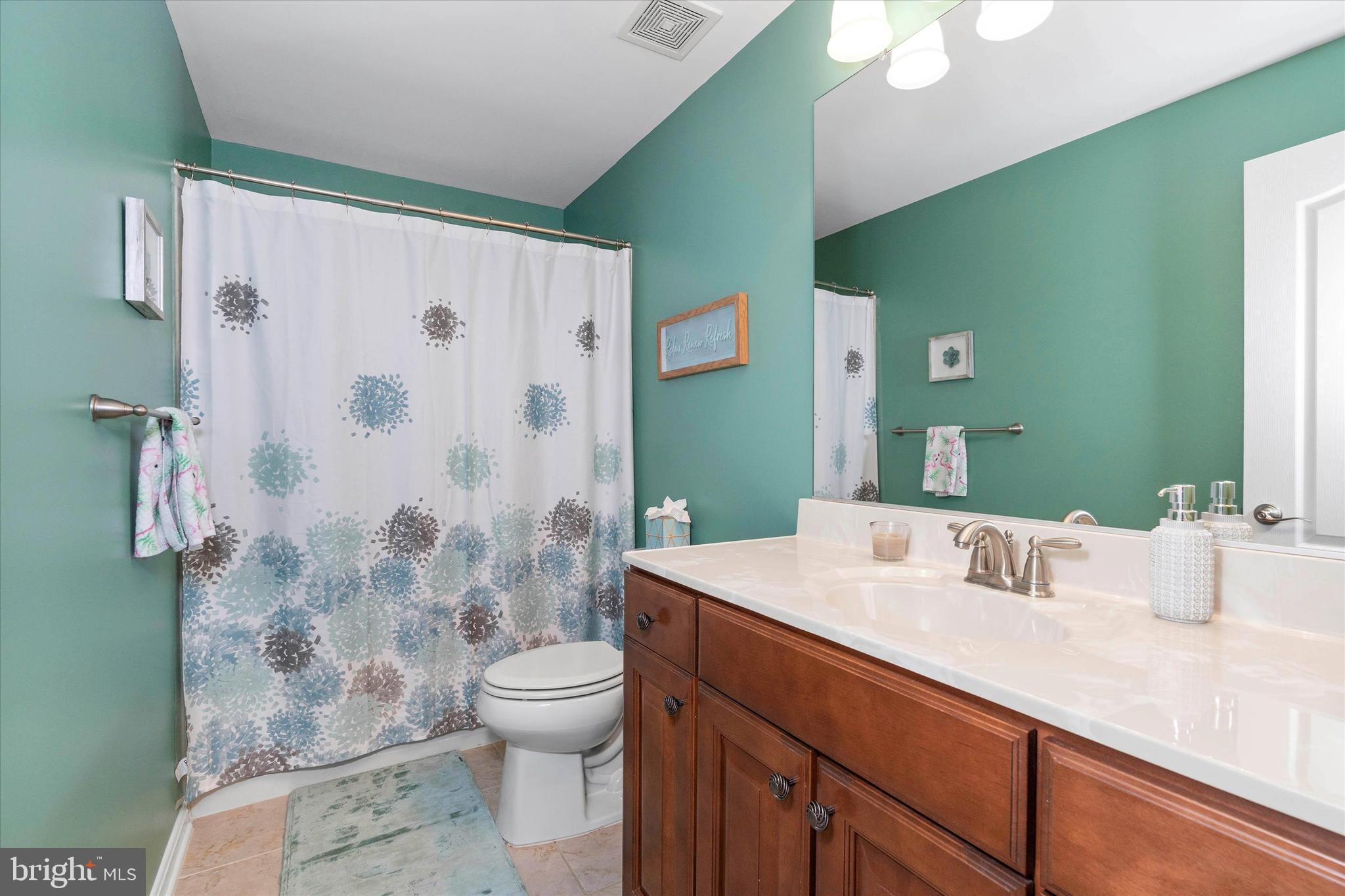 635 Red Maple Road Middletown, DE 19709 - Photo 34 of 63 Guest Bathroom (Basement)