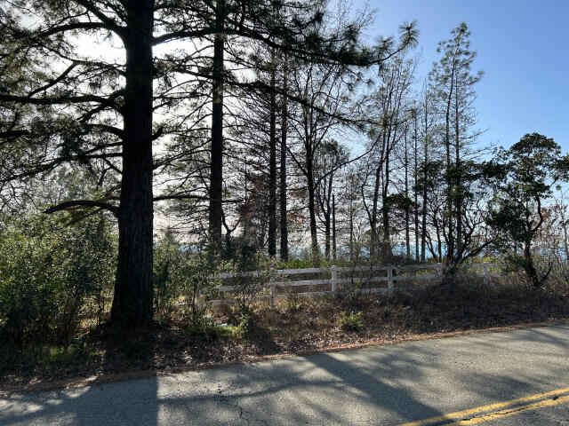 Black Butte Road Shingletown, CA 96088 - Photo 1 of 9 IMG_8235