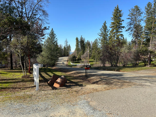Black Butte Road Shingletown, CA 96088 - Photo 7 of 9 IMG_8236