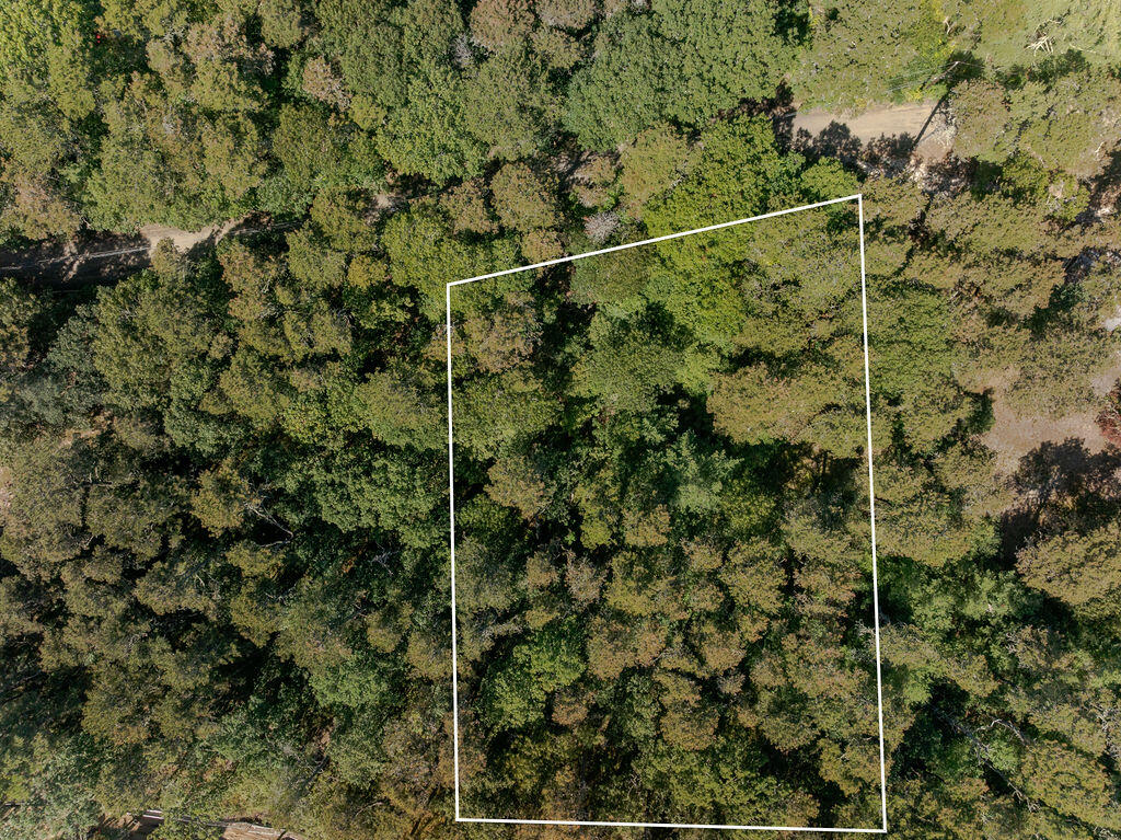 40 Old Long Pond Road Wellfleet, MA 02667 - Photo 11 of 13 40_Old_Long_Pond-22