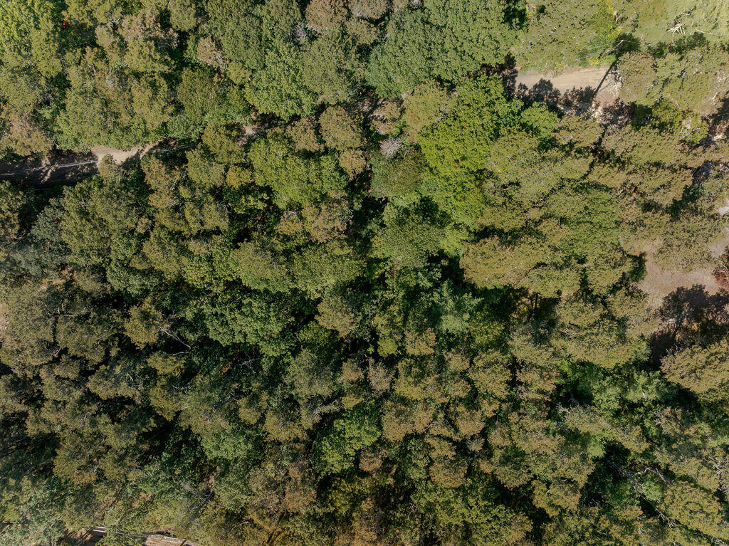 40 Old Long Pond Road Wellfleet, MA 02667 - Photo 13 of 13 40_Old_Long_Pond1-22